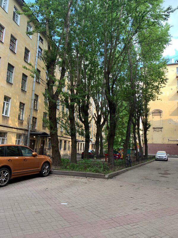 Граф Толстой — фото 25