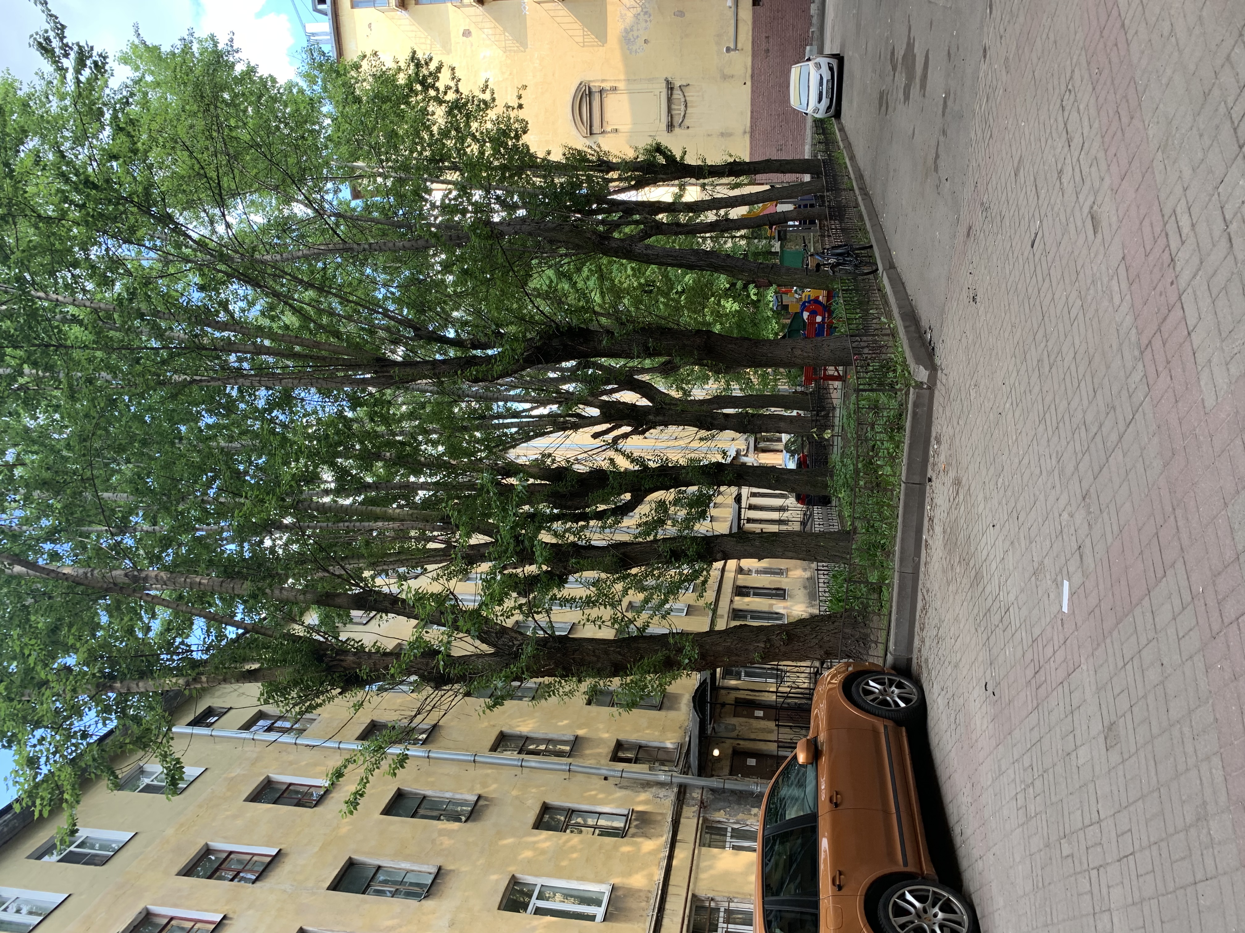 Фото Граф Толстой