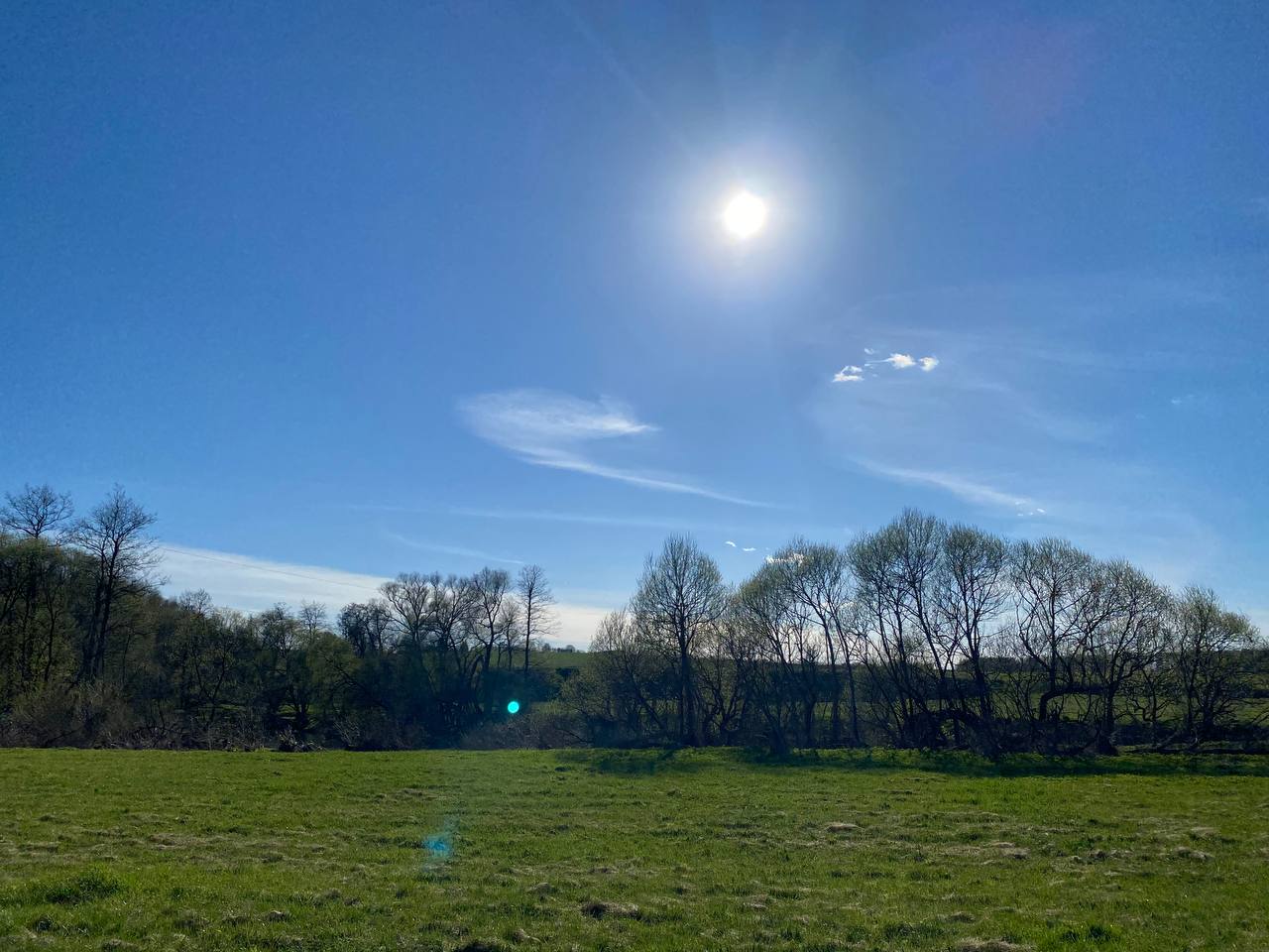 Фото Дыши лесом