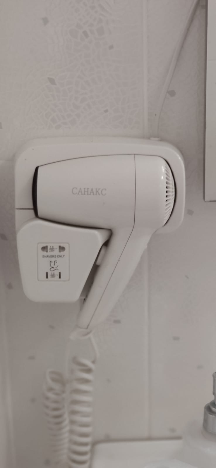 Фото Орхидея