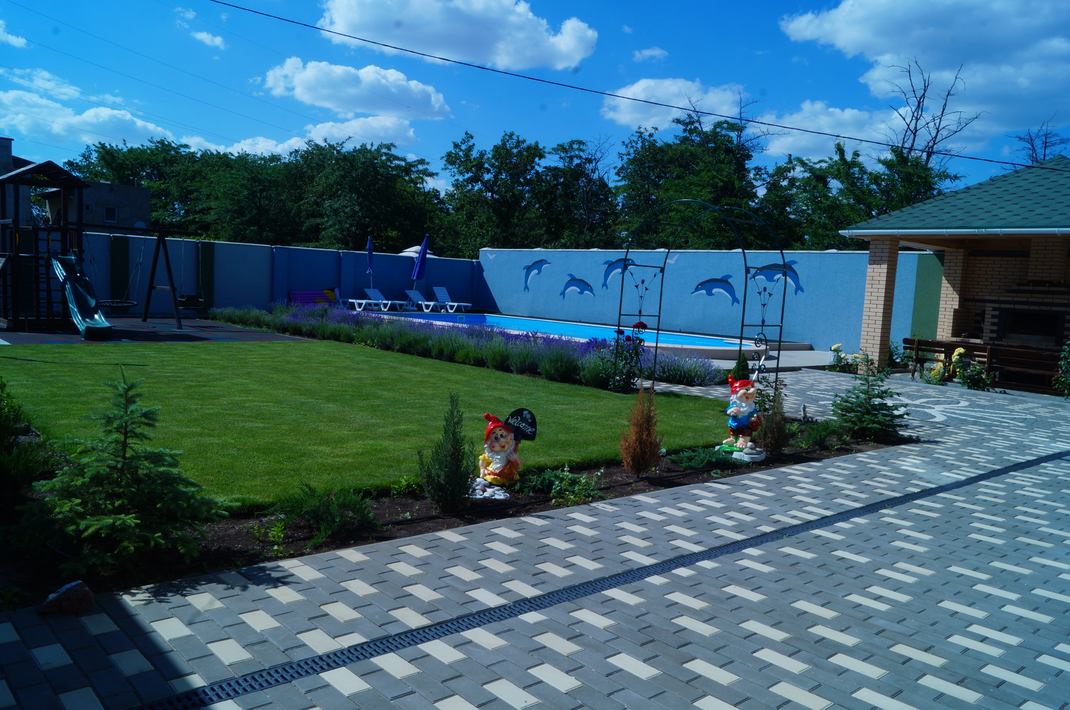 Фото Семицветик