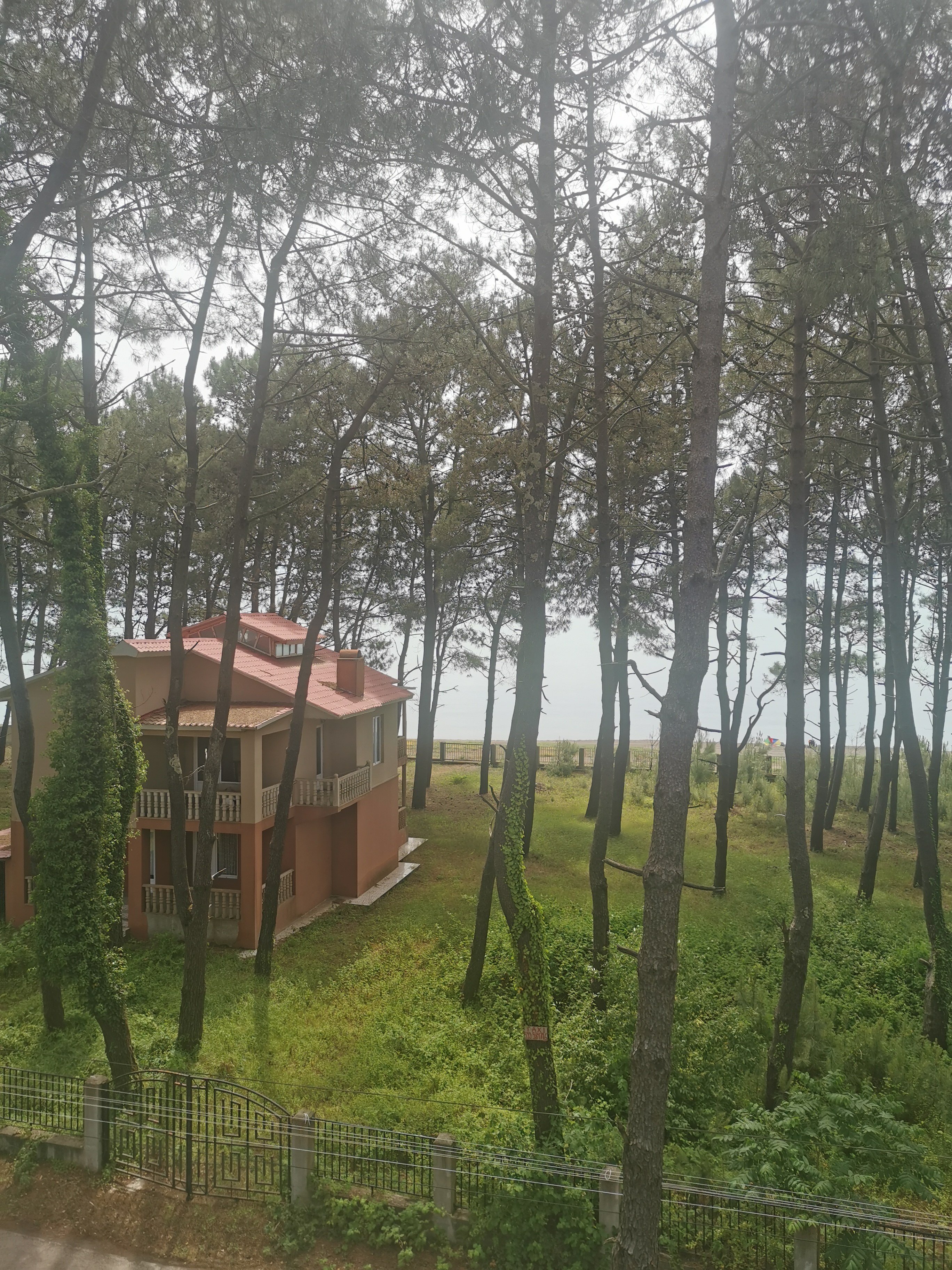 Фото Отель GiNa Shekvetili