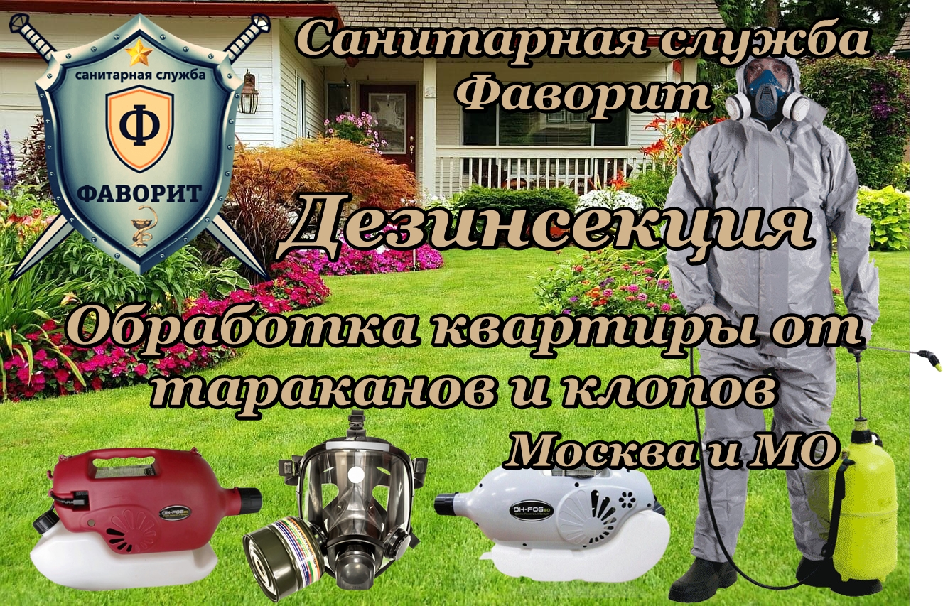 Чем обработать стены от тараканов перед ремонтом - 96 фото