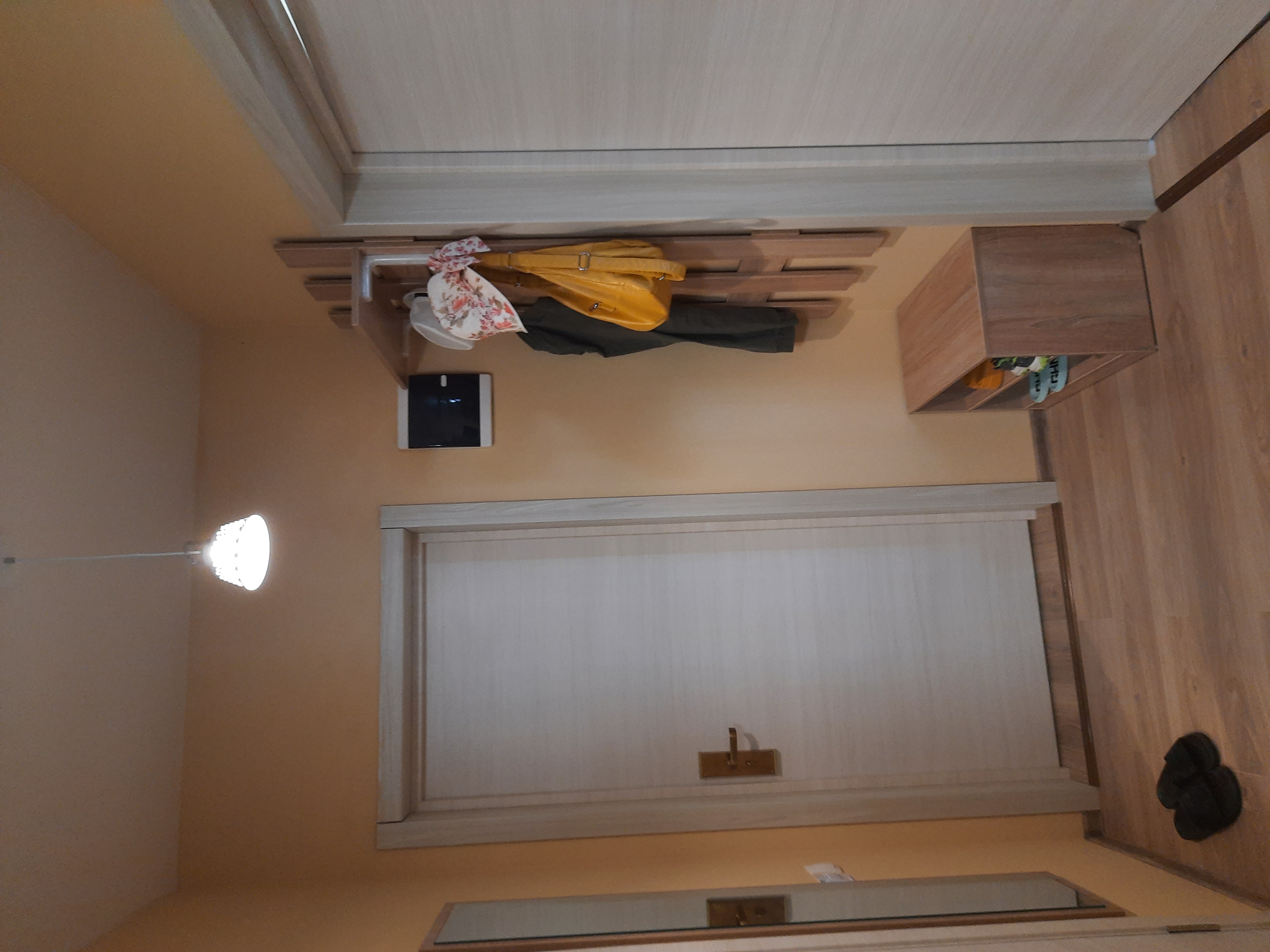 Фото Белый Лотос