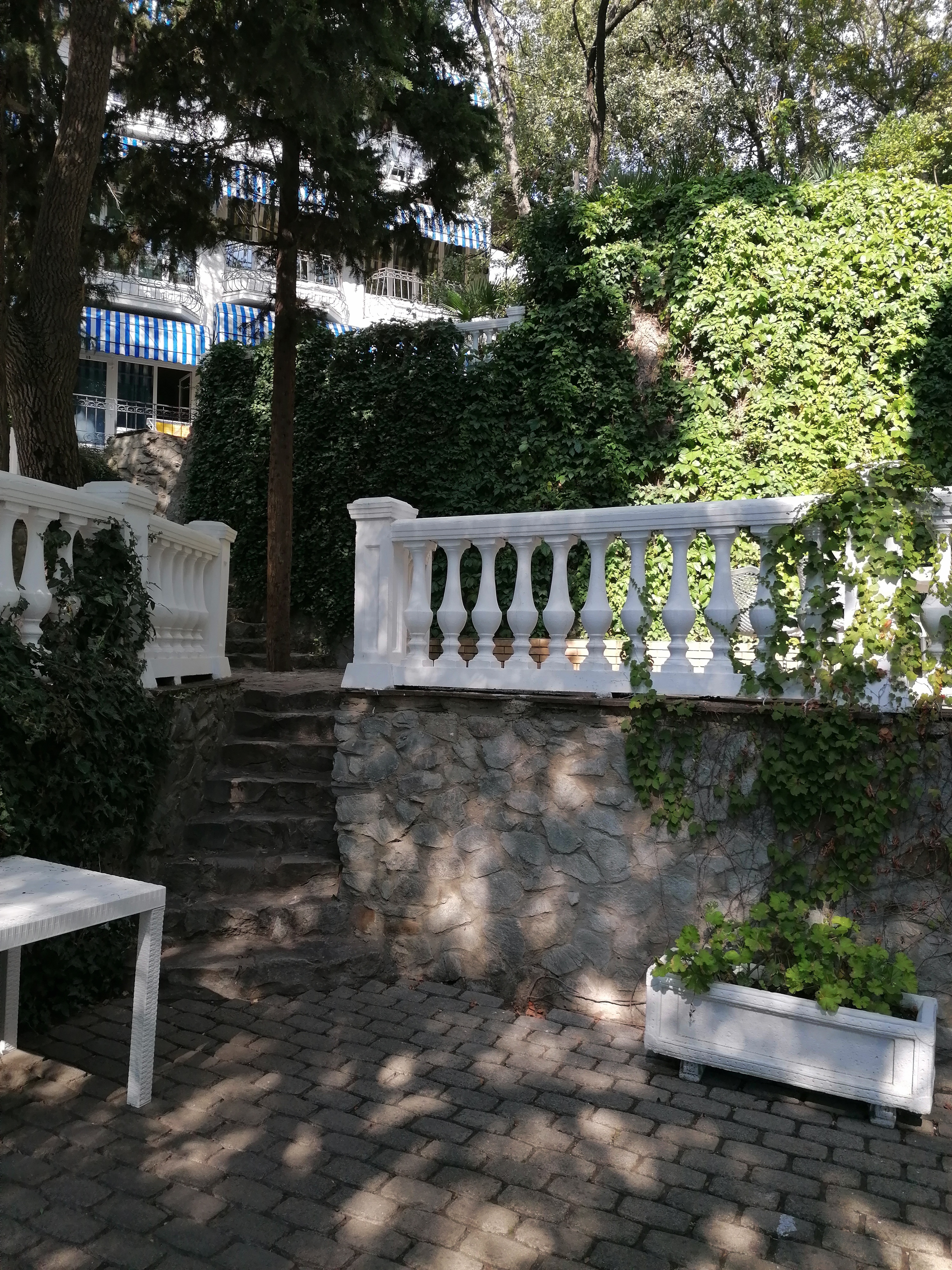 Фото Серсиаль