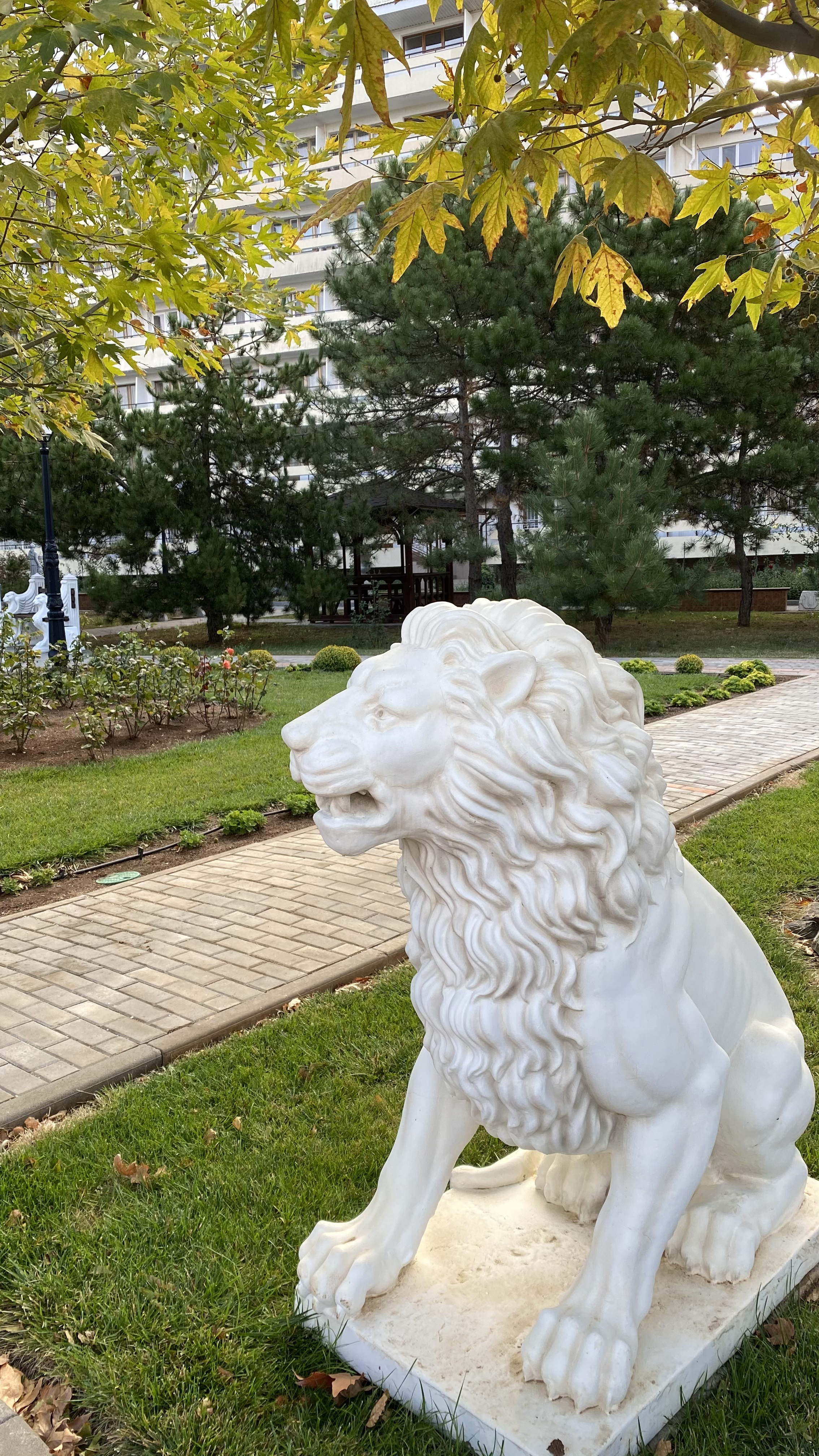 Фото Сакрополь