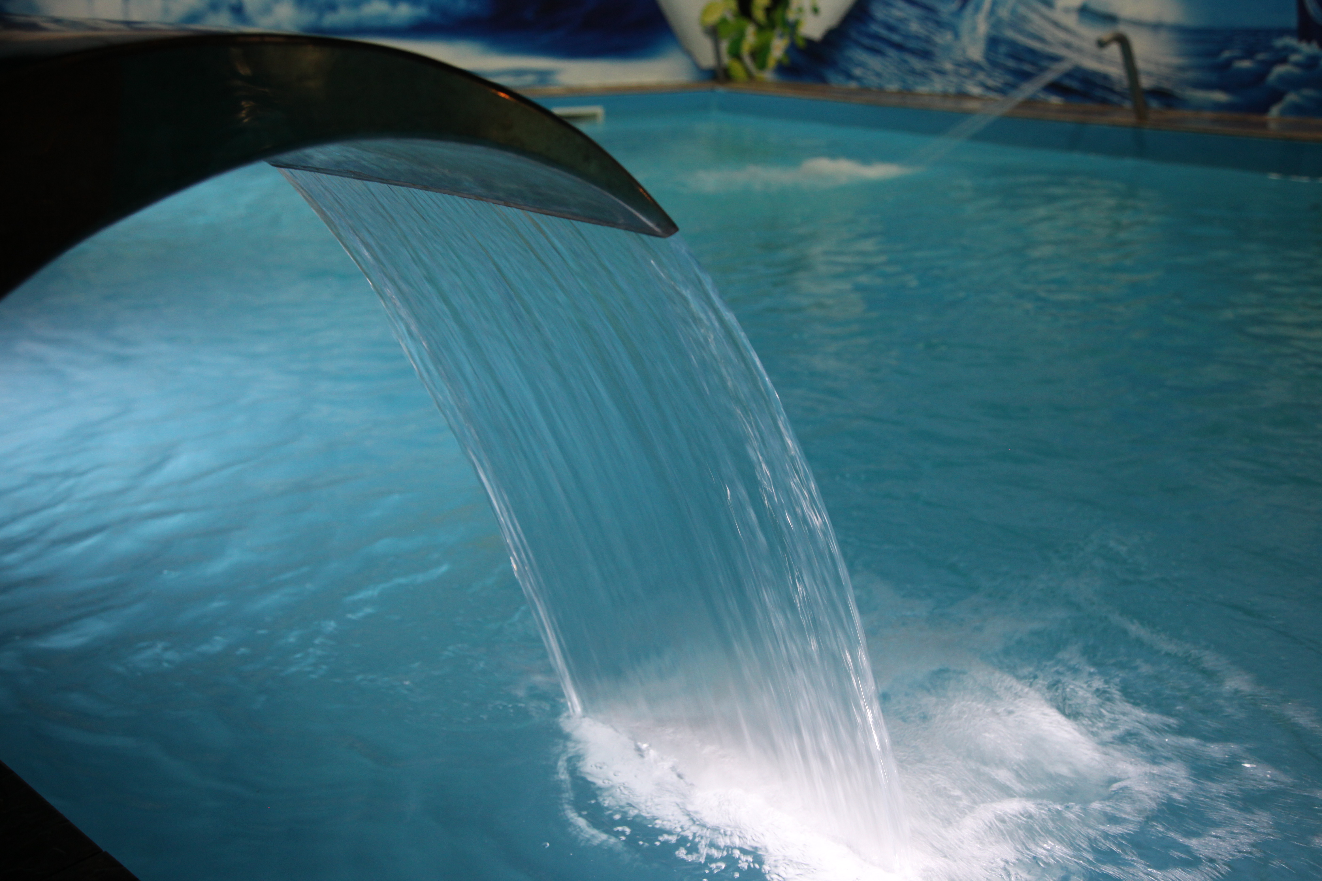 Фото Коралл фемели