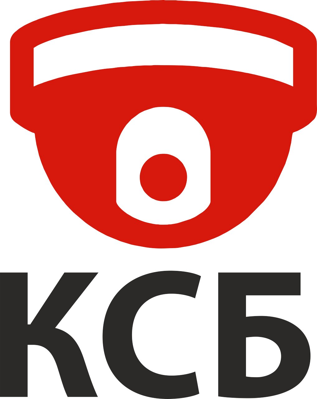Казанские системы безопасности