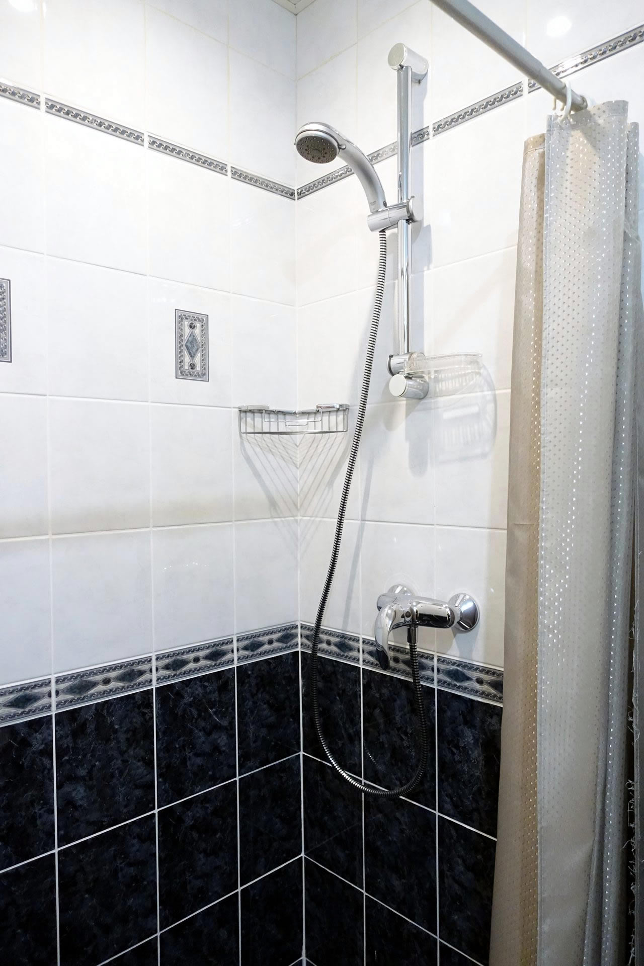 Фото Холстомер