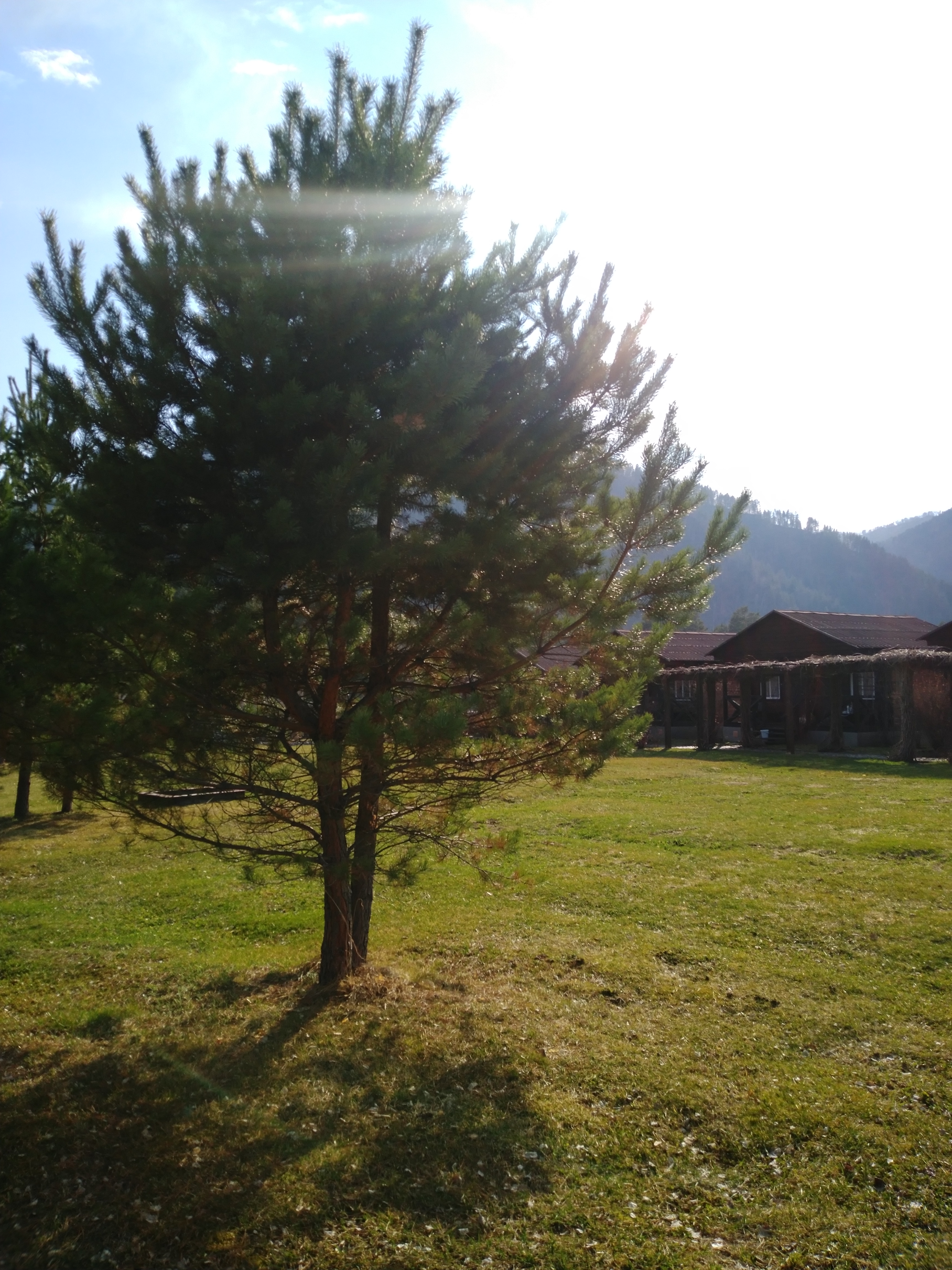 Фото Усадьба толстяка МО