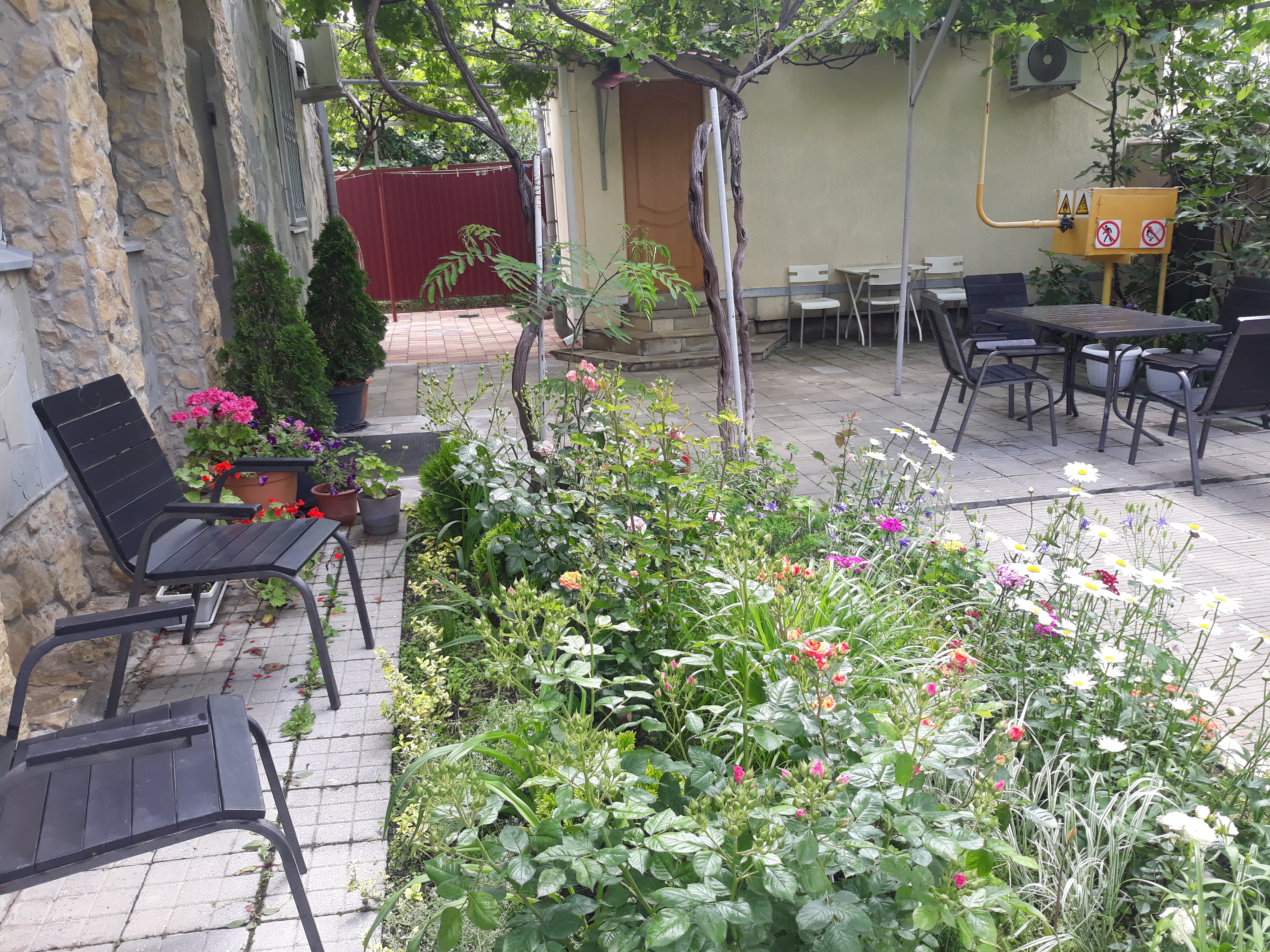 Фото Друзья