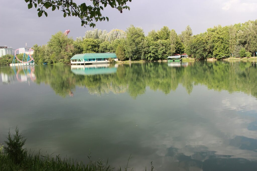 Мәдениет және демалыс саябағы Японский сад, Ташкент, фото