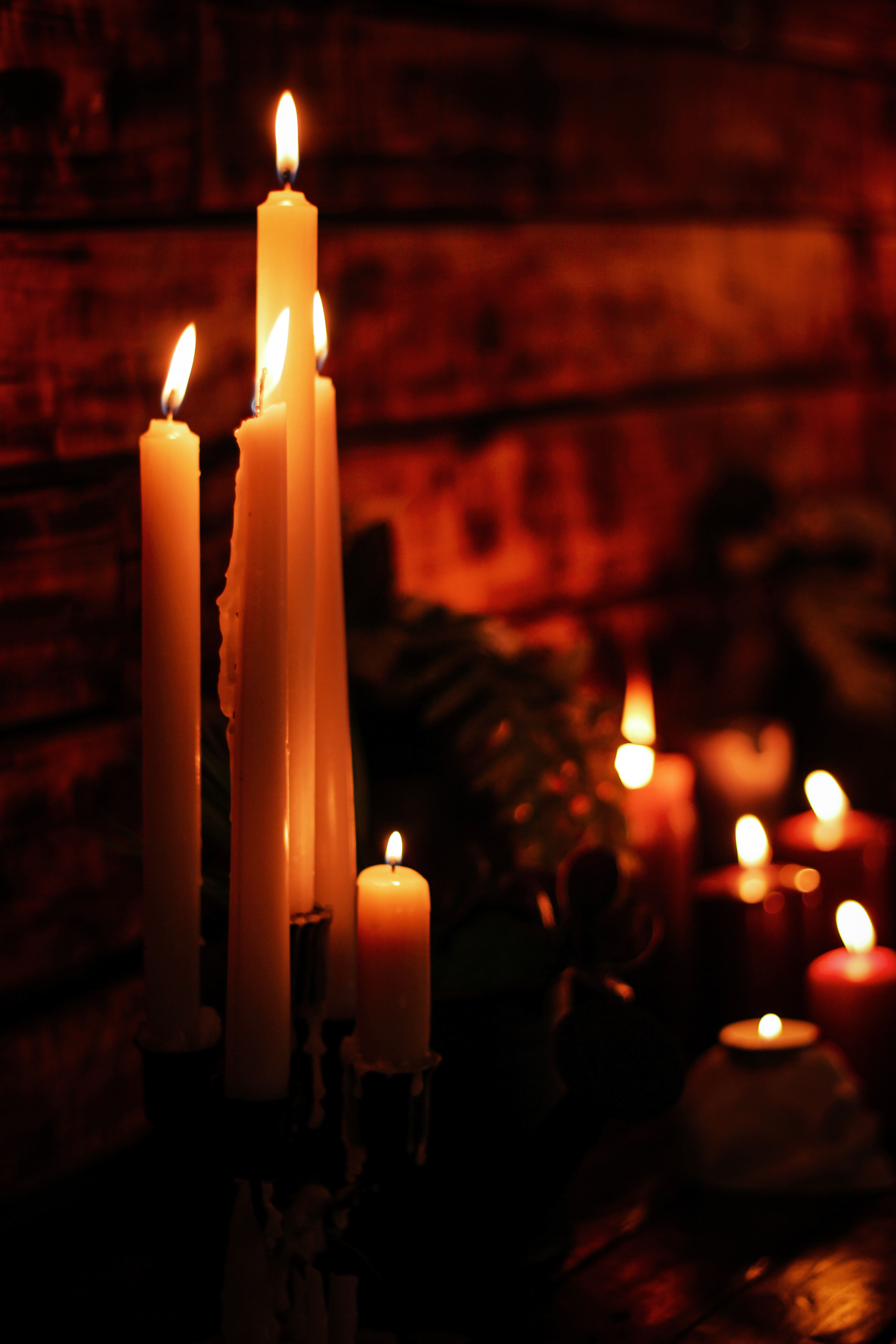 Фото Мечта Тея