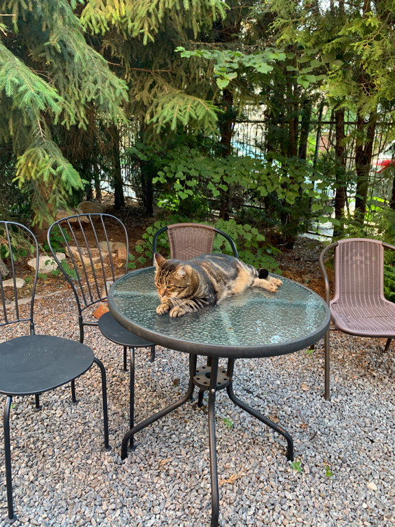 Фото Добрыня