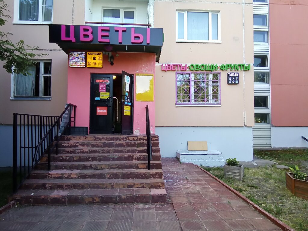 متجر بيع خضر خضروات طازجة Магазин овощей и фруктов ، موسكو، صورة