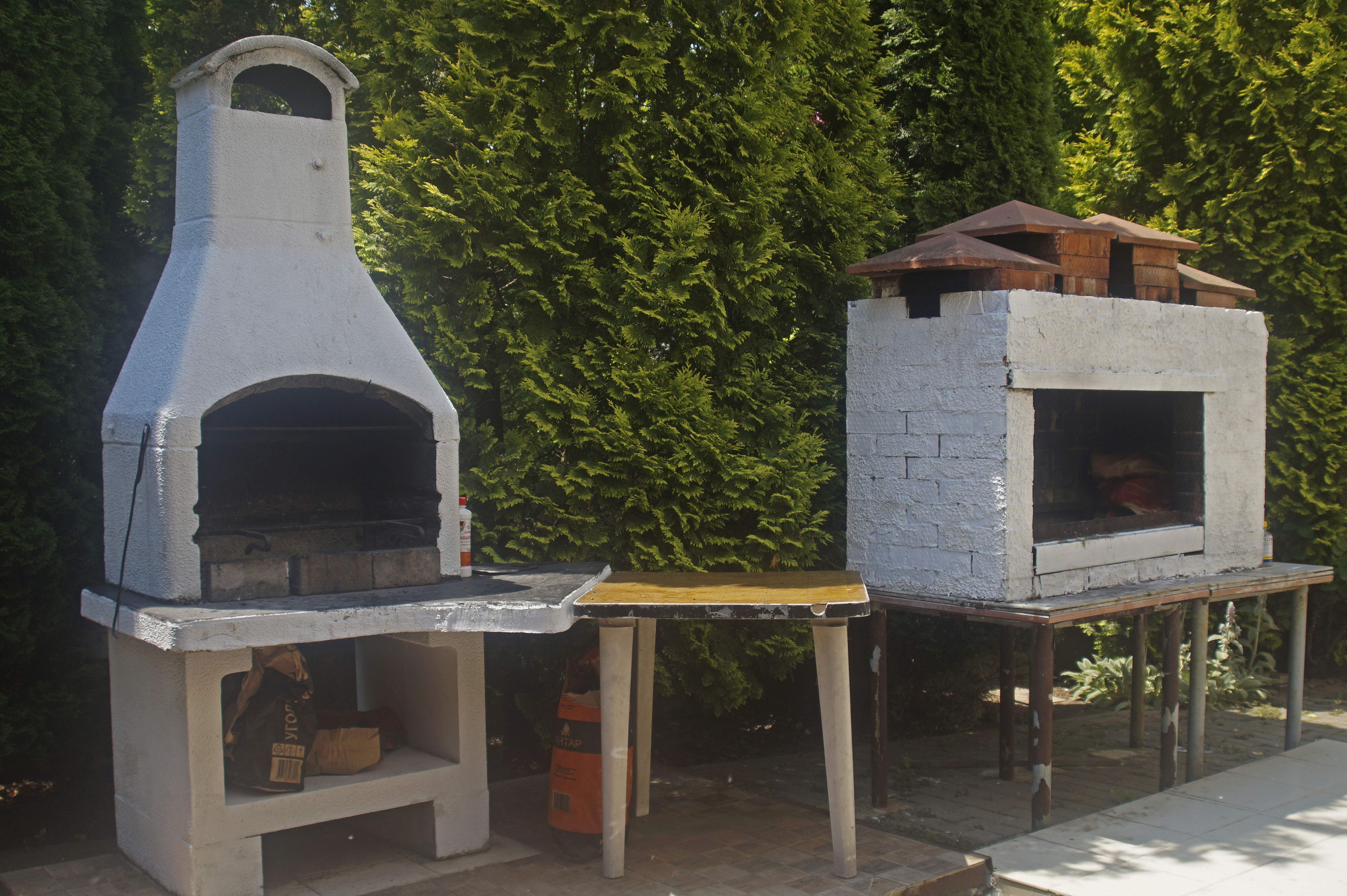 Фото Селена