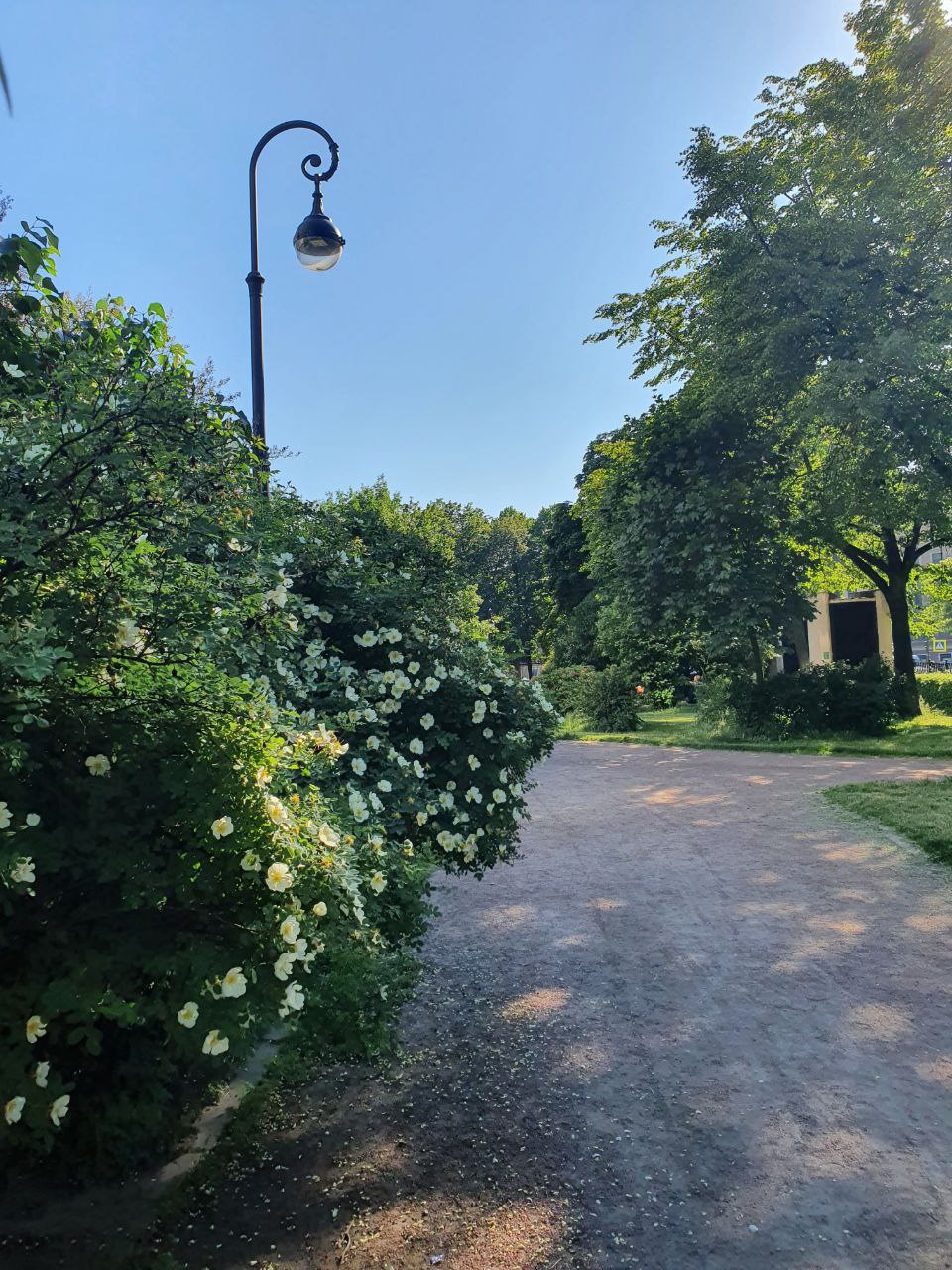 Фото Северный ветер