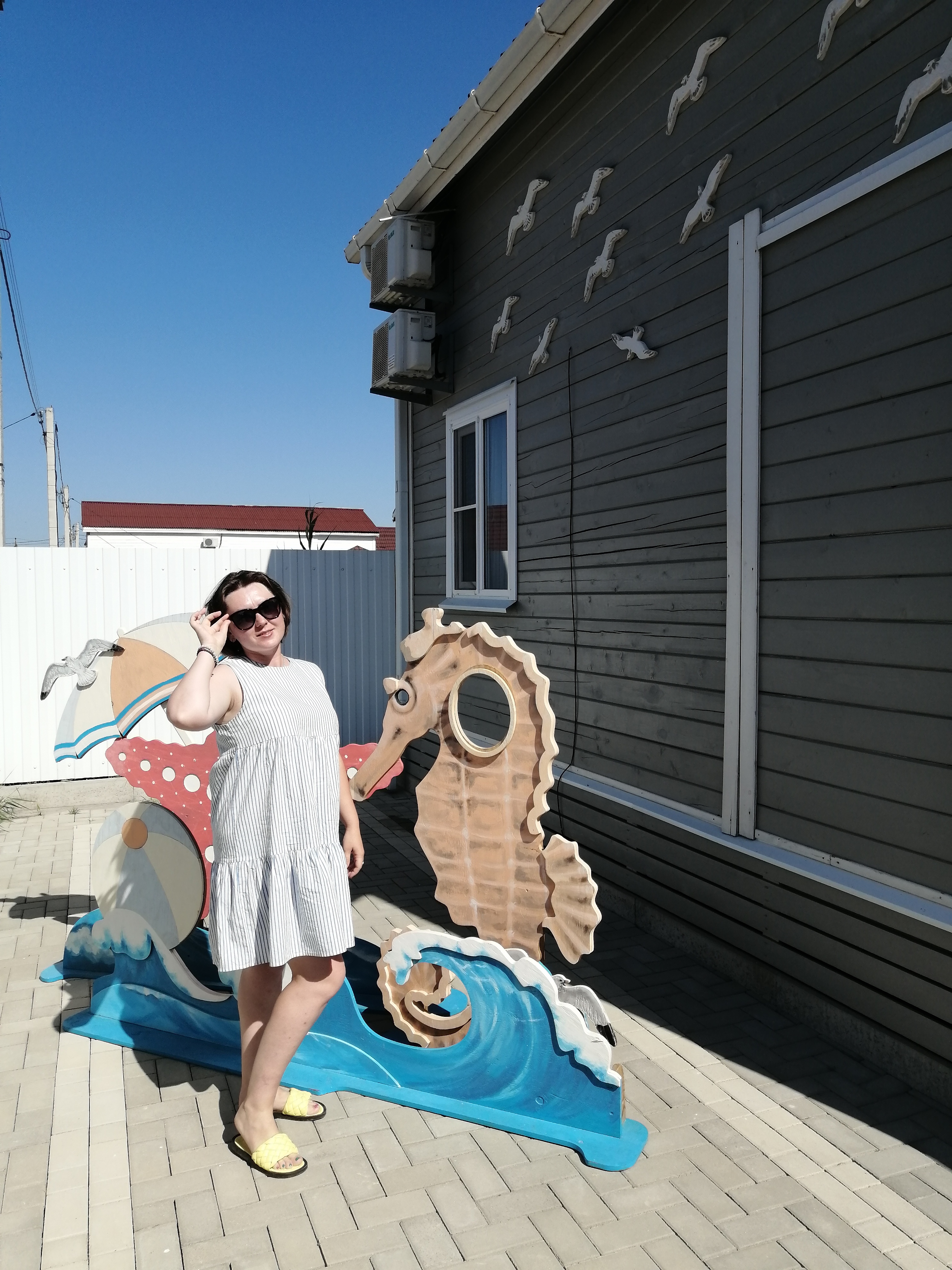 Фото Азовская чайка