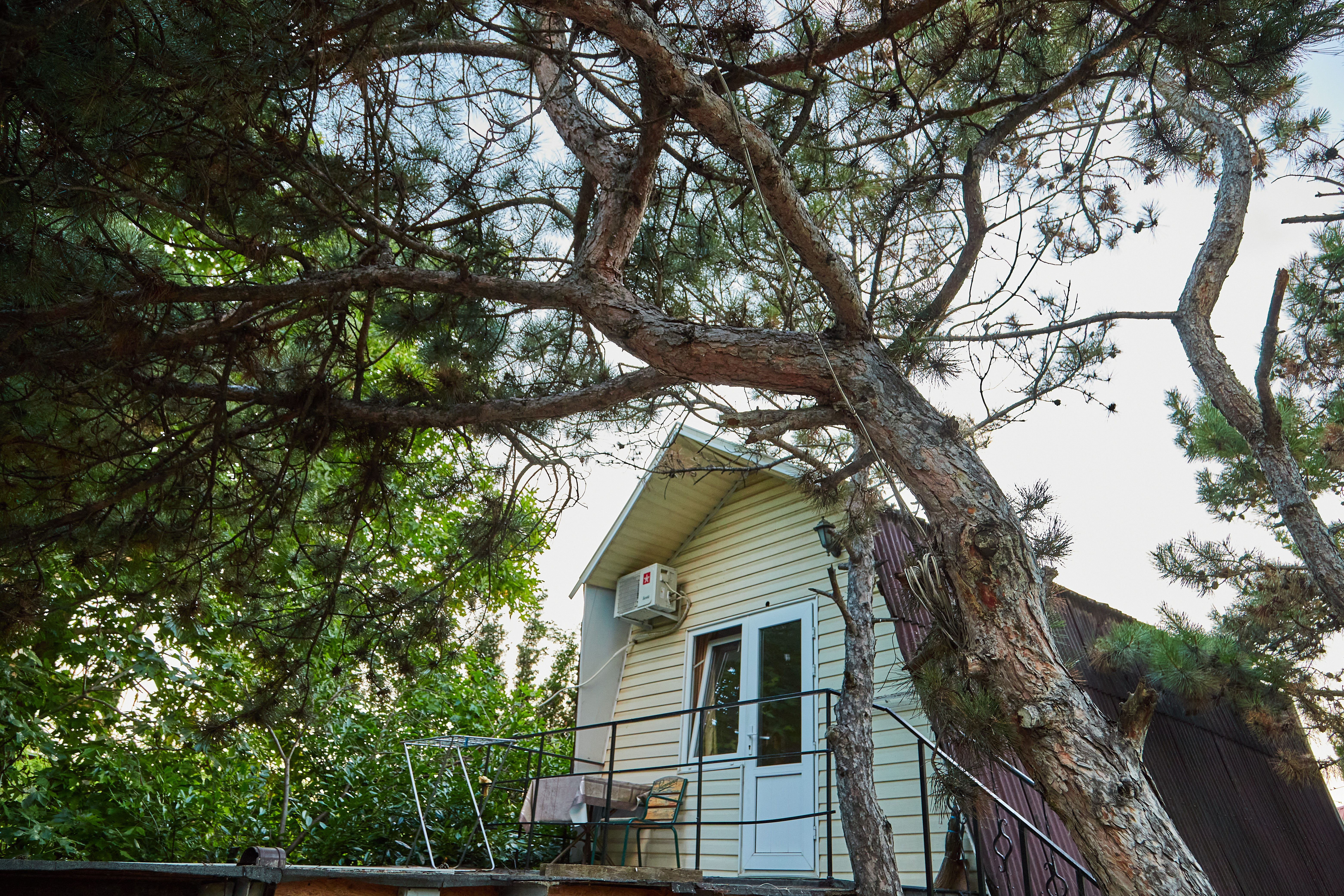 Фото Крымский Детокс