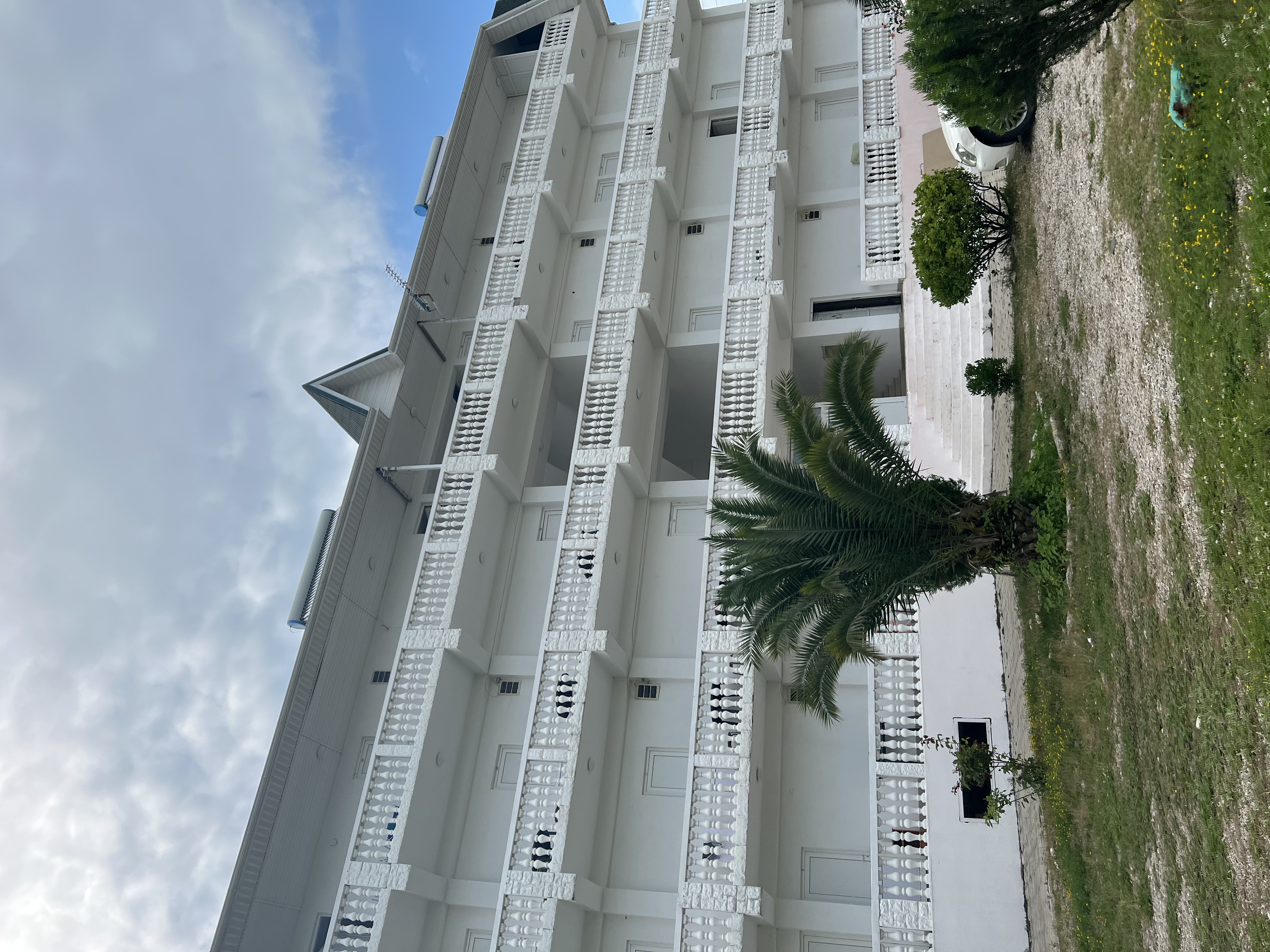 Фото Белая Панама