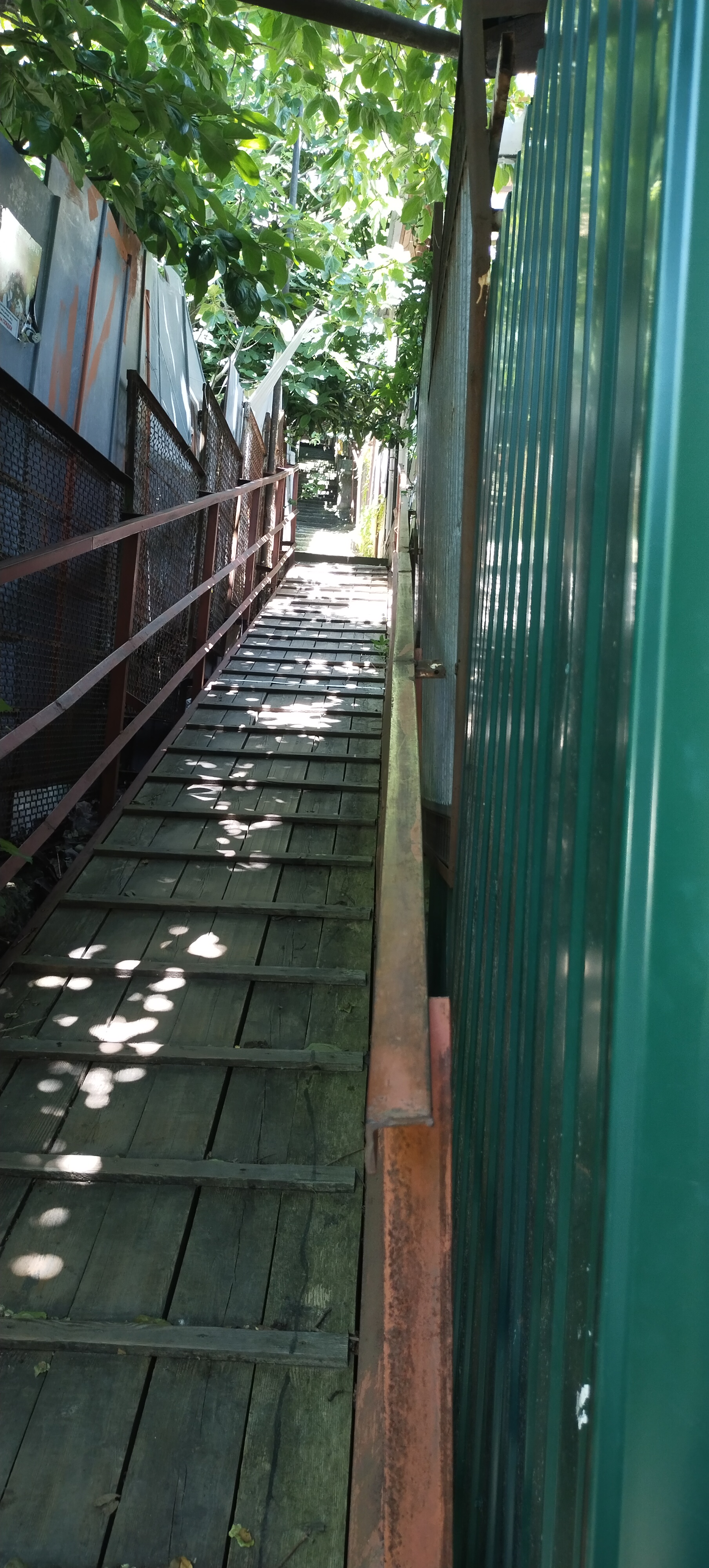 Фото Лесная Сказка Resort Inn