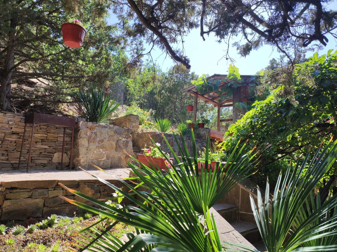 Фото Шаляпин Хаус