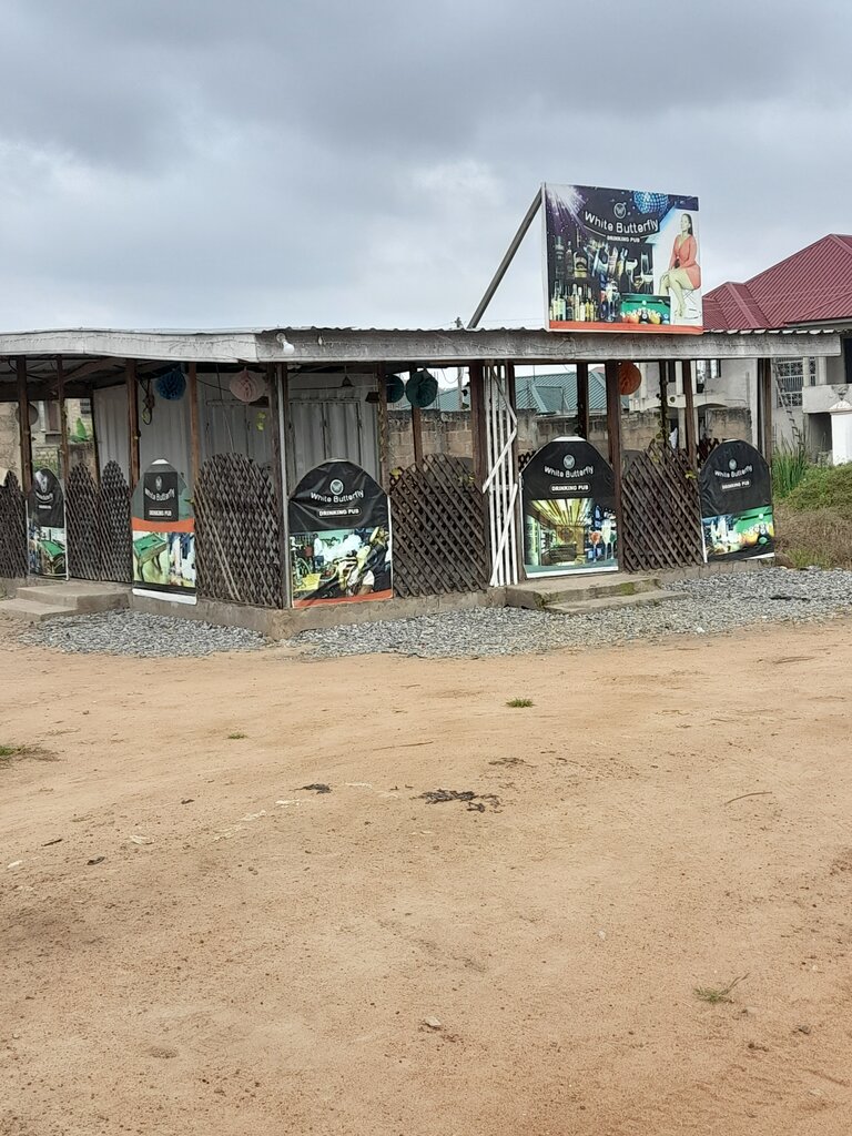 Bar, pub White Butterfly pub, Earth, photo