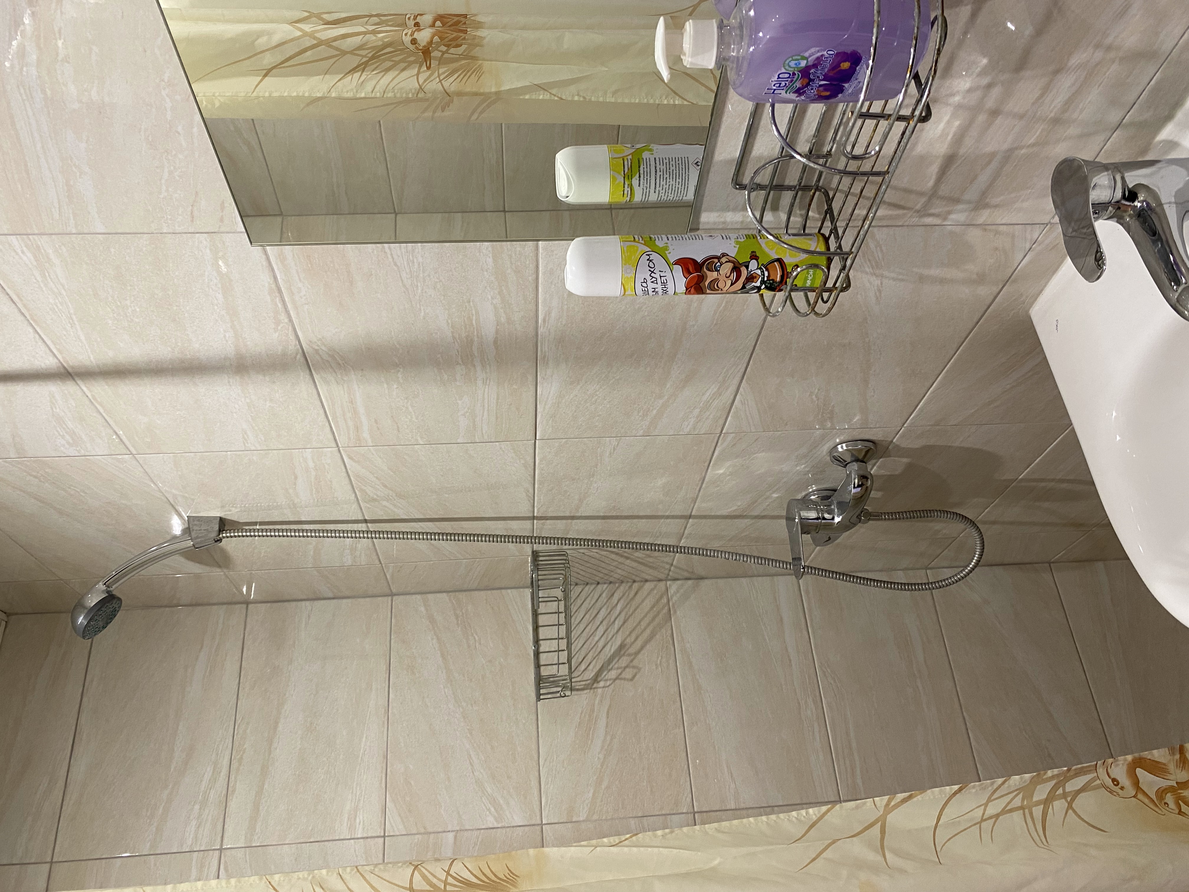 Фото Жасмин