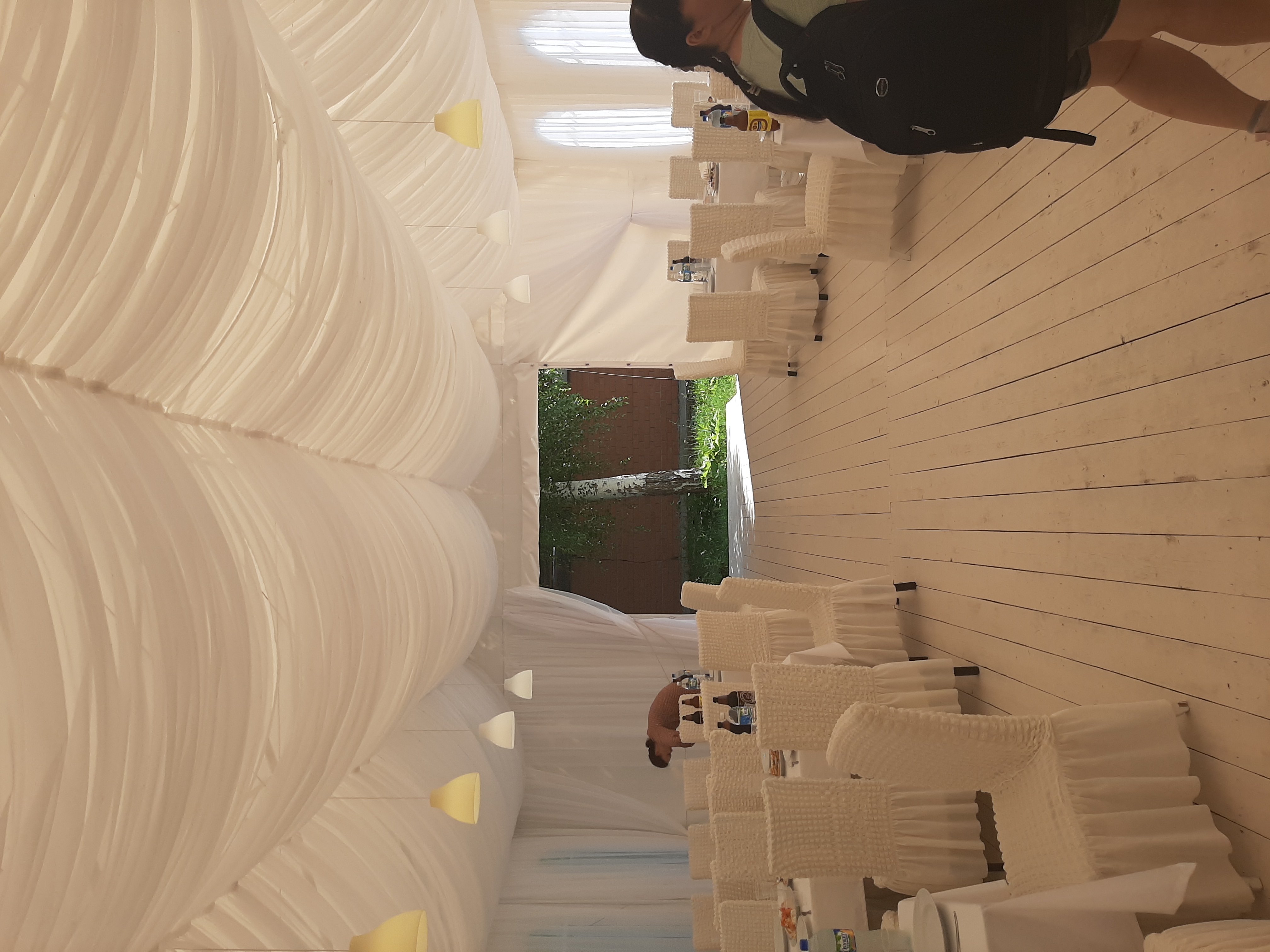 Фото Берёзки