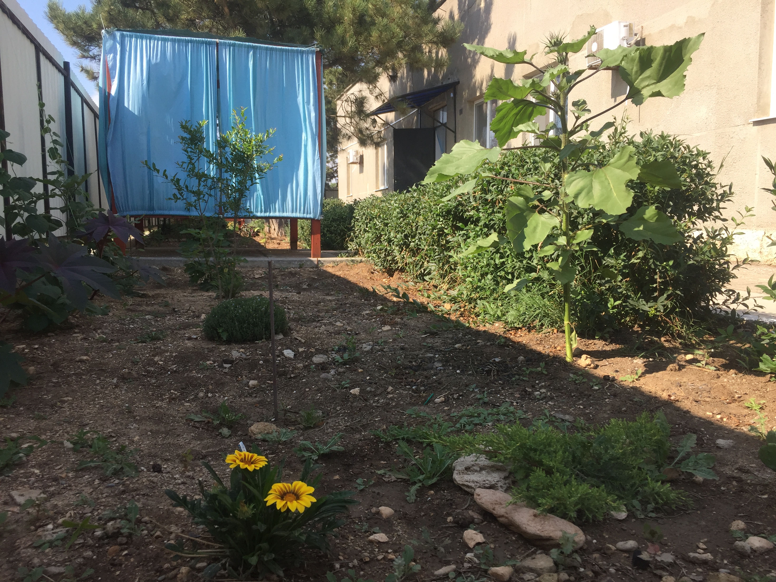 Фото На море