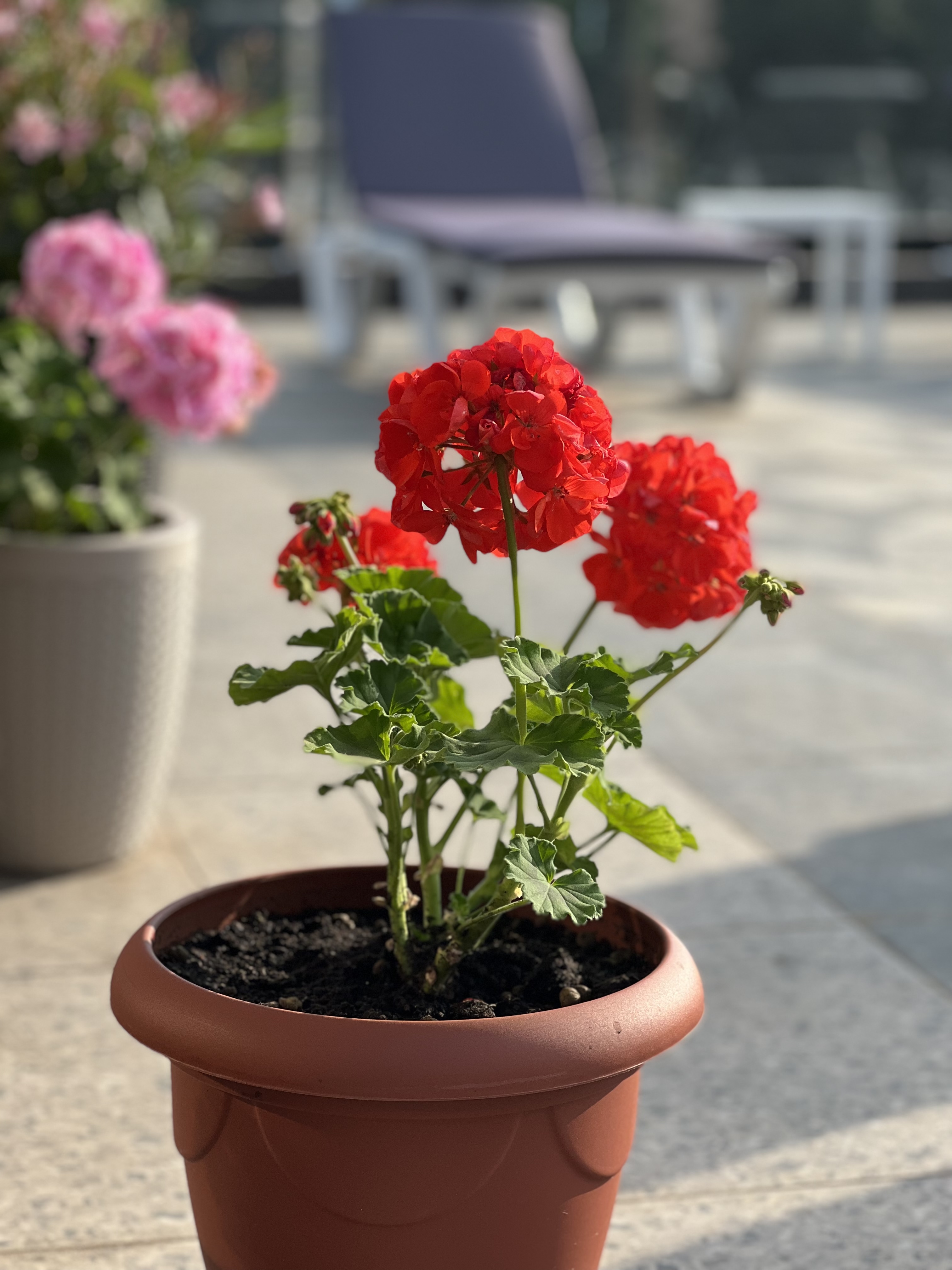 Фото The Loft Inn