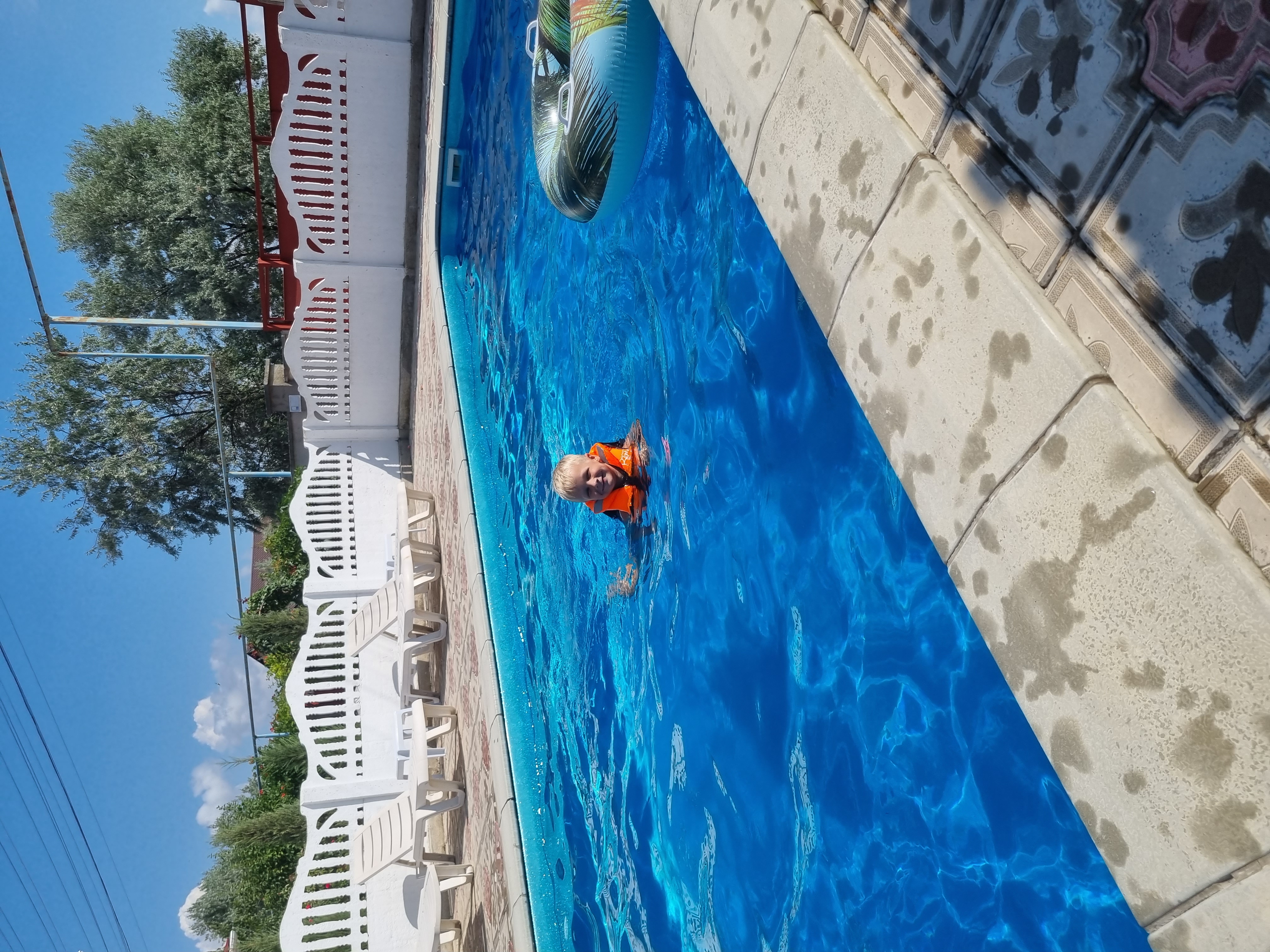 Фото Магнолия