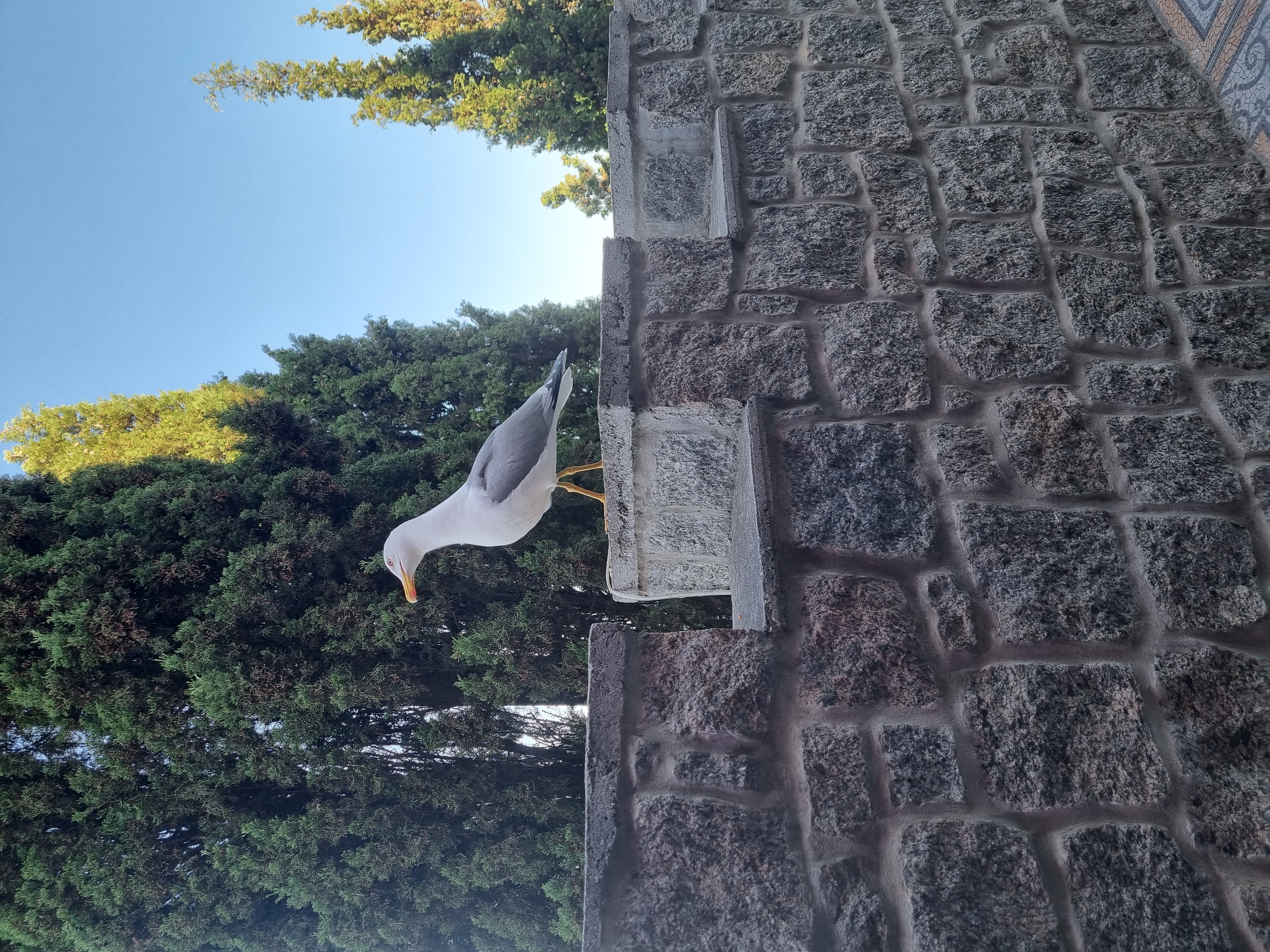 Фото Водолей