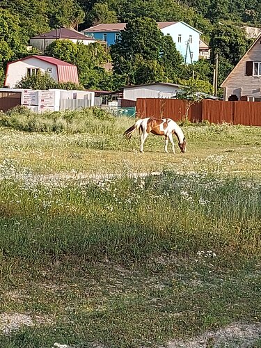 Турбаза Золотое ущелье в Пляхо
