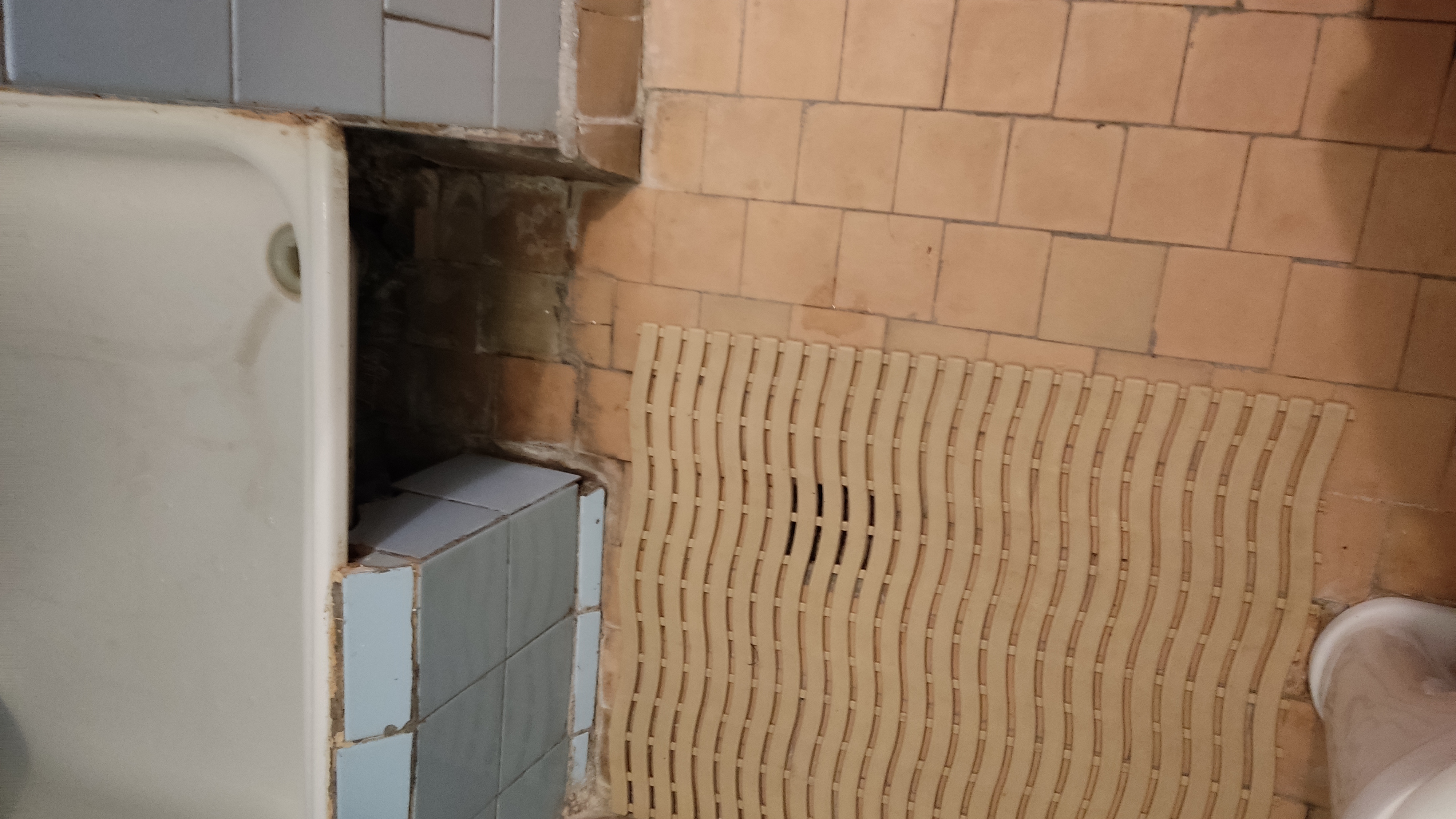 Фото Лесная