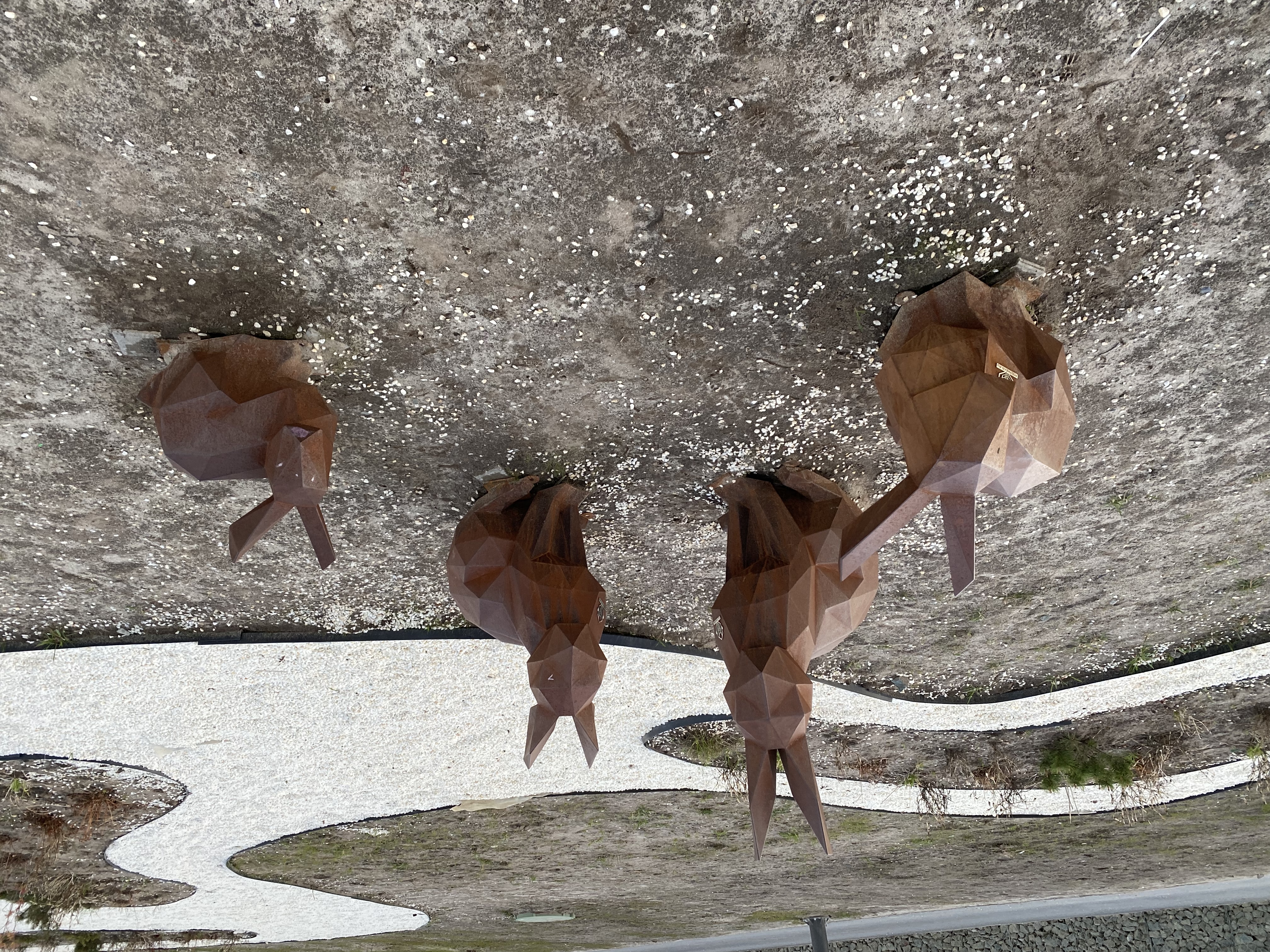 Фото Карибу