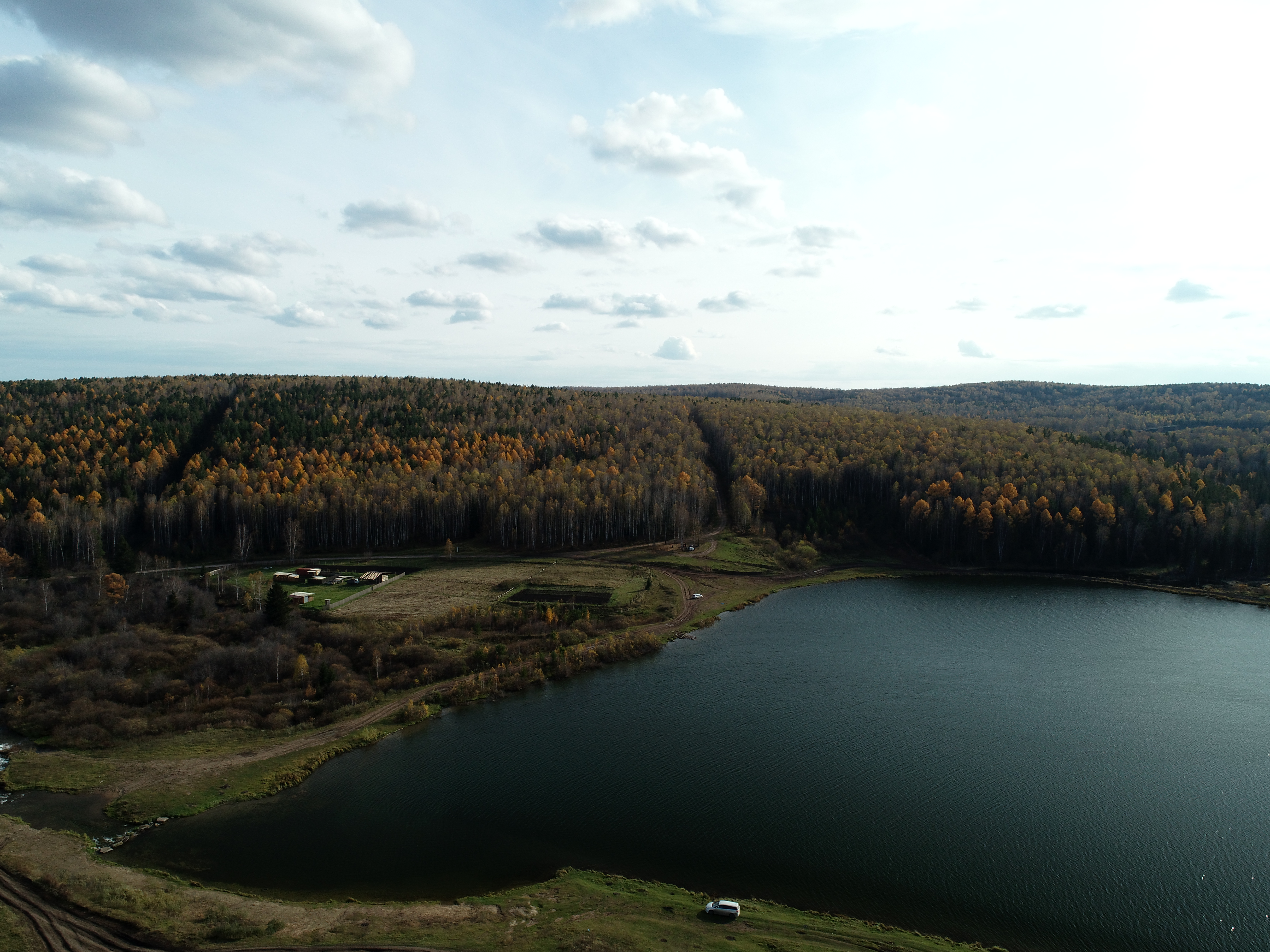 Фото Белая сова