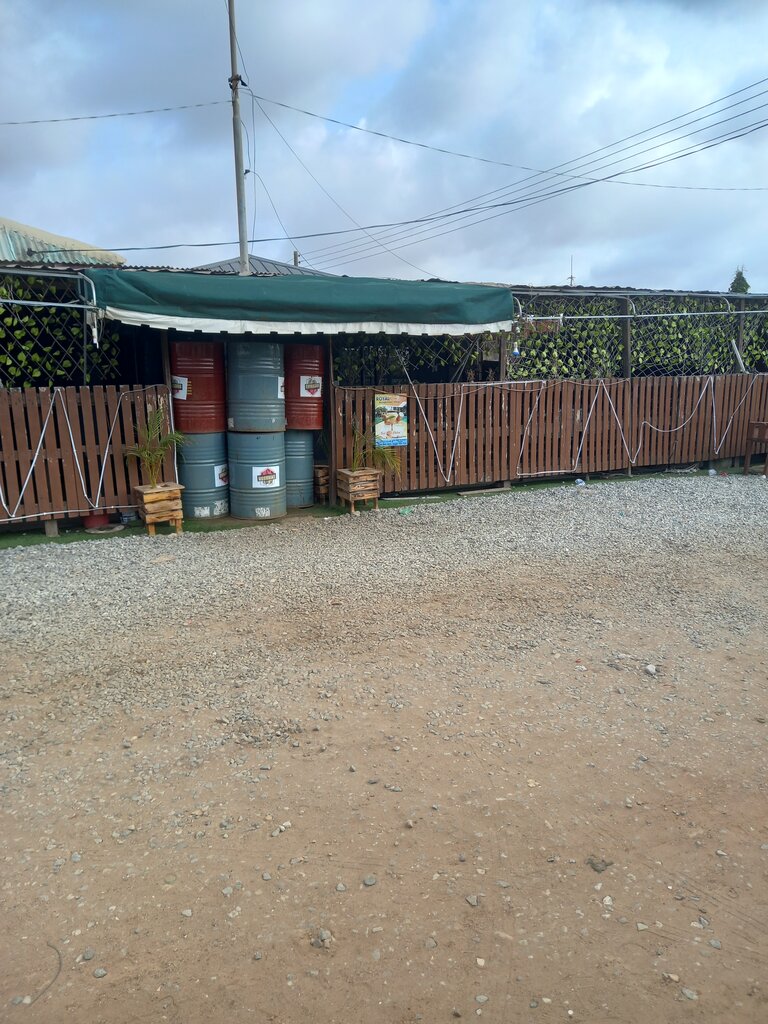 Alcoholic beverages Royal palm wine, Earth, photo