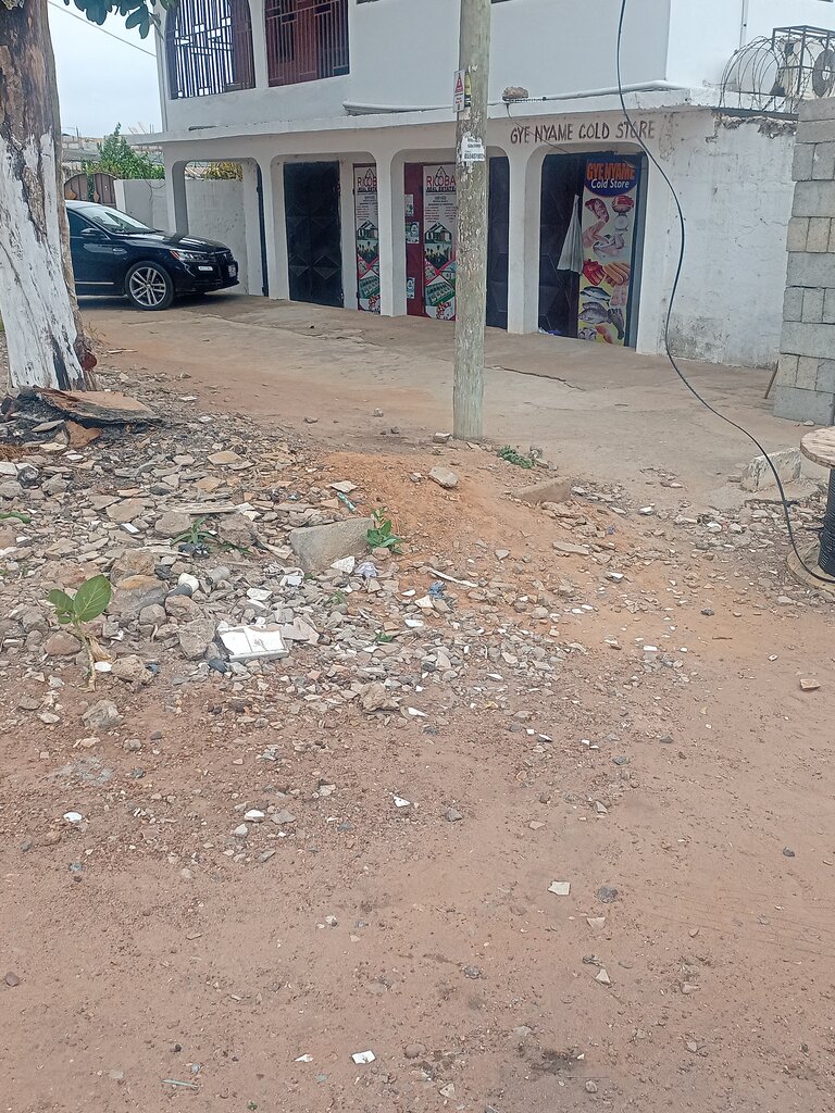 Cold storage facility Gye nyame cold store, Accra, photo