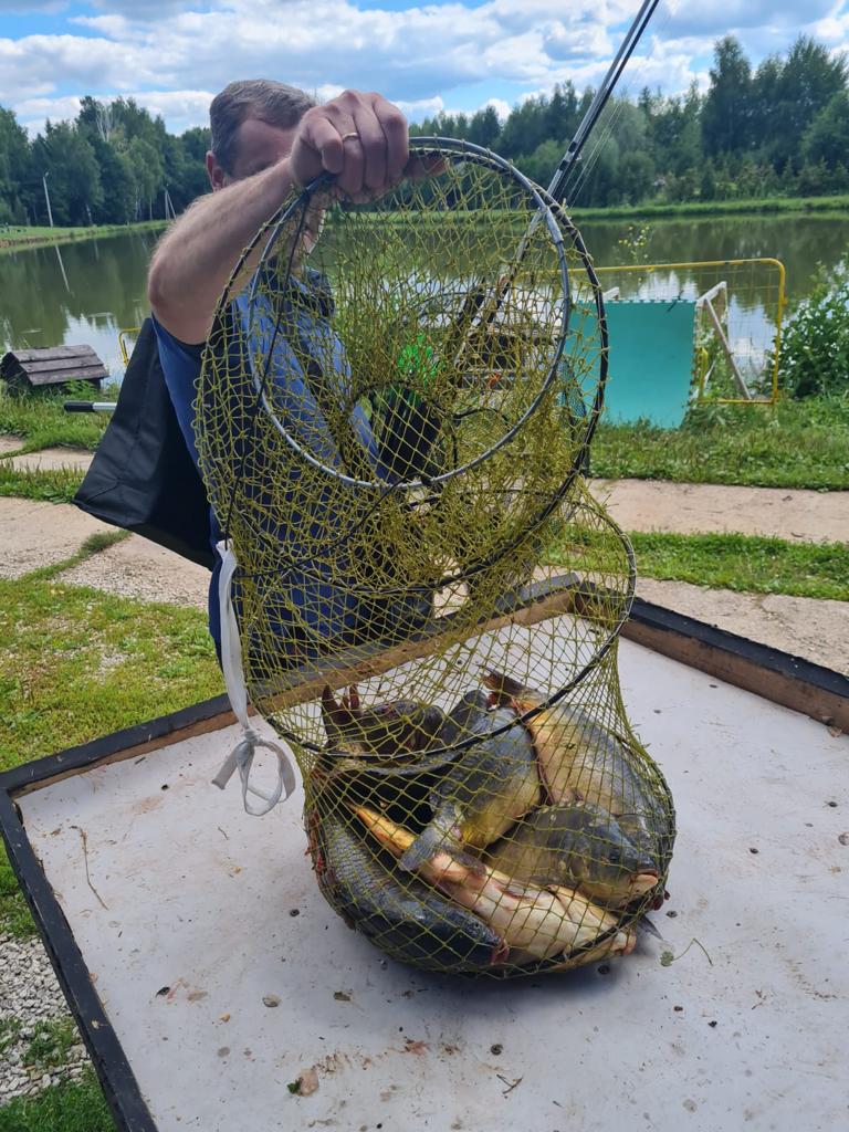 Фото Еду в гости