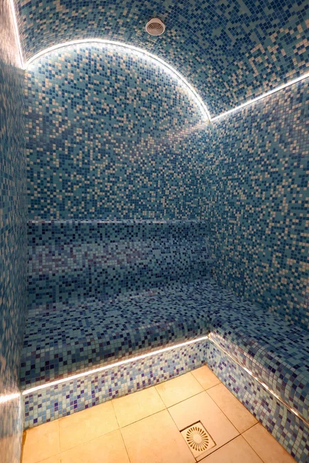 Фото Монарх