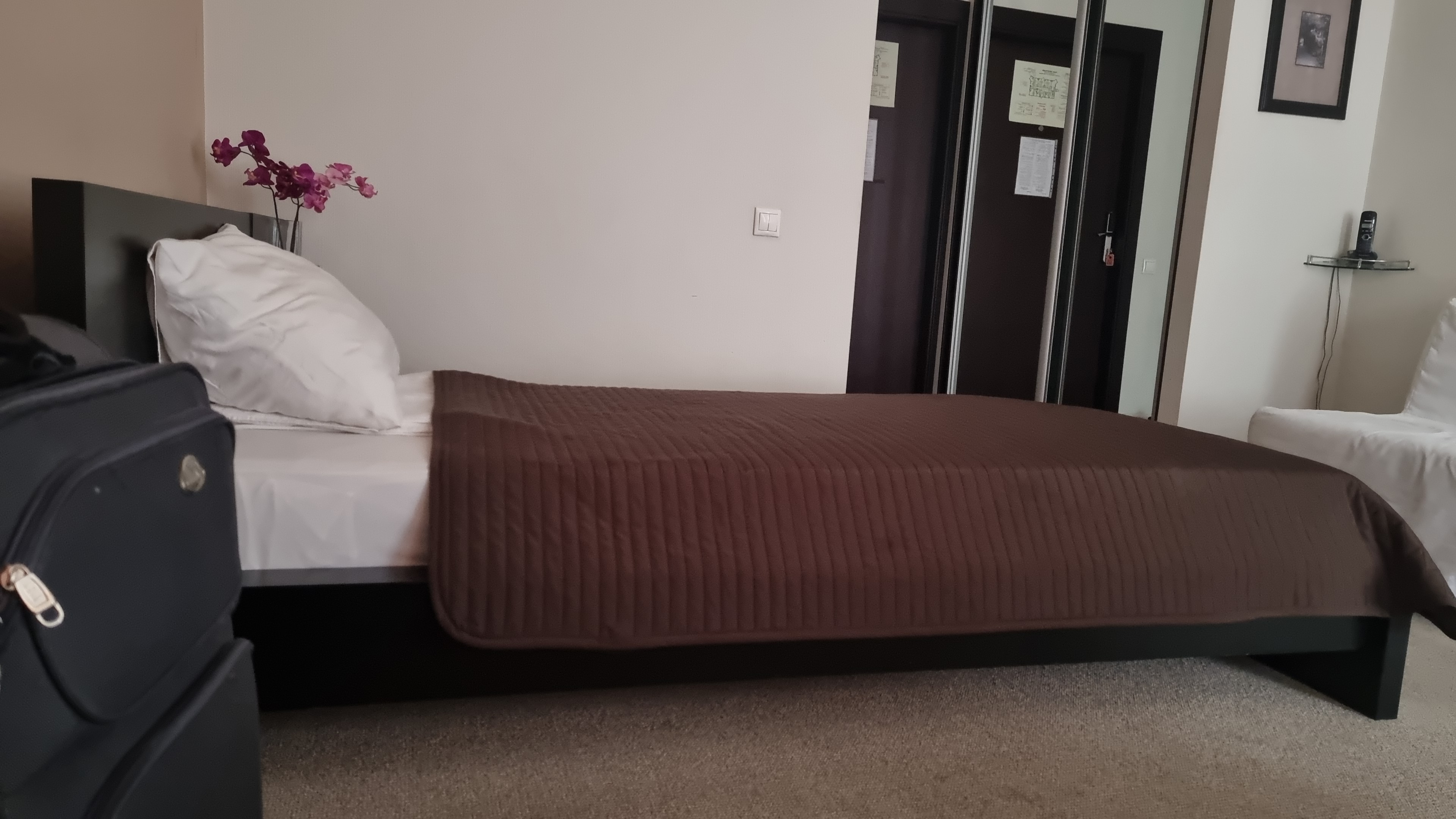 Фото Апельсин