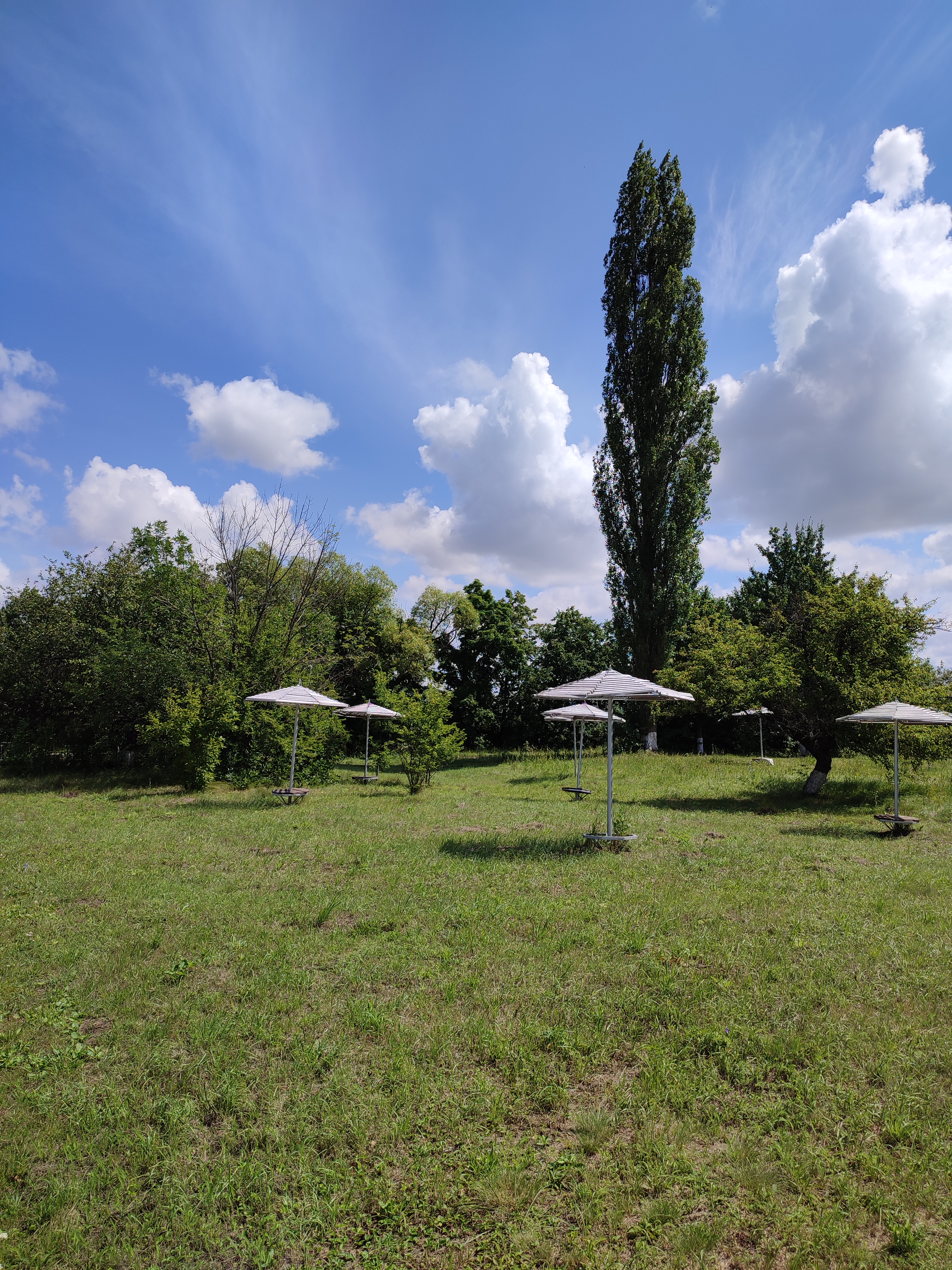 Фото Волшебница