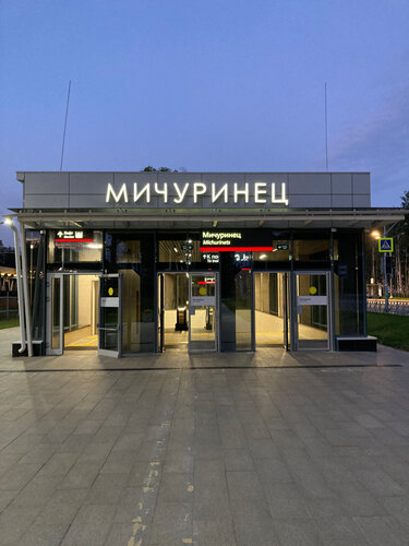 Дельфиннің пениса сантиметрі