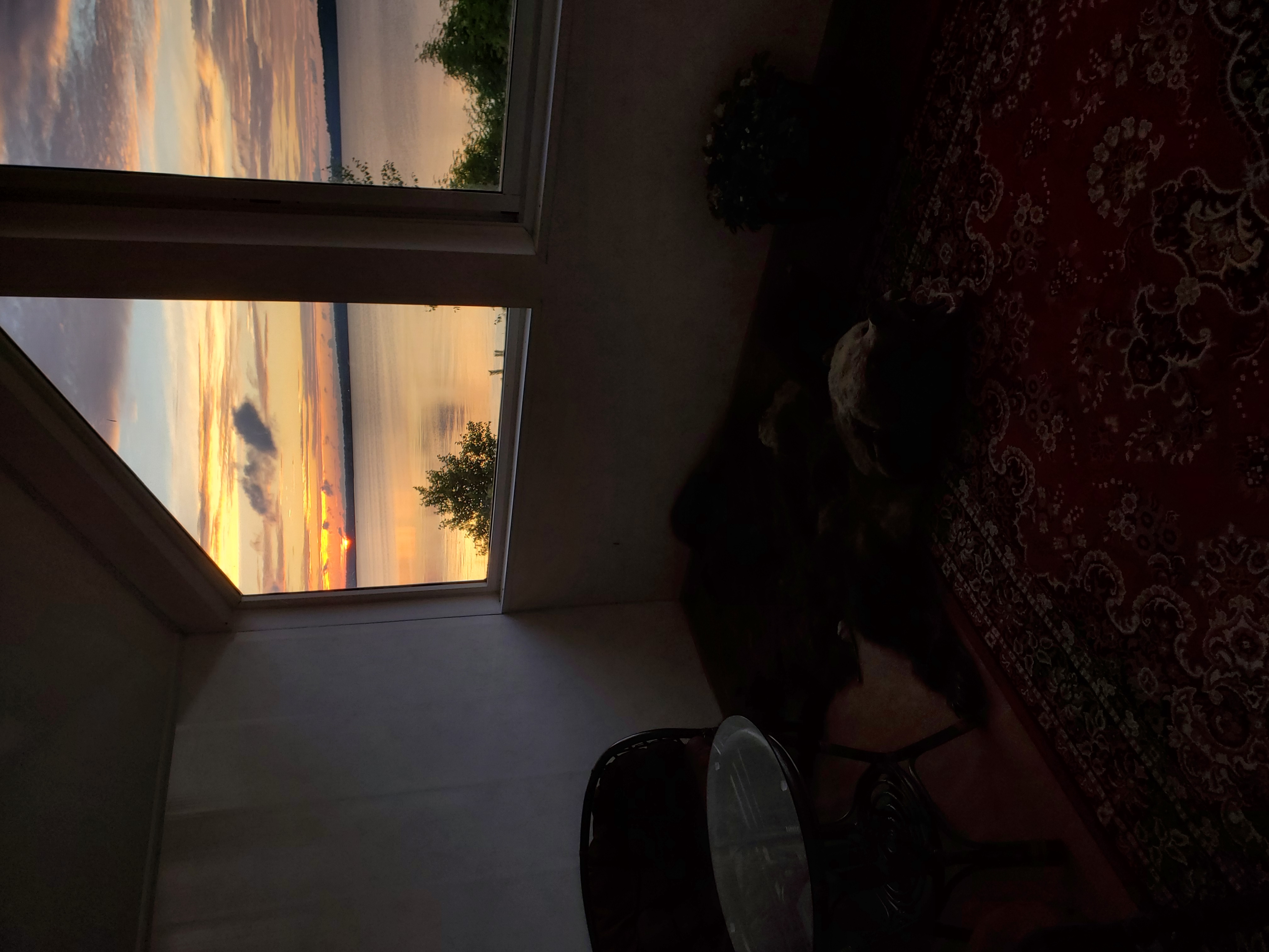 Фото Kodi järvi