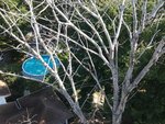 The Tree-Man Tree Service Co (United States, Egg Harbor Township, 4016 Ocean Heights Ave), garden tools and equipment
