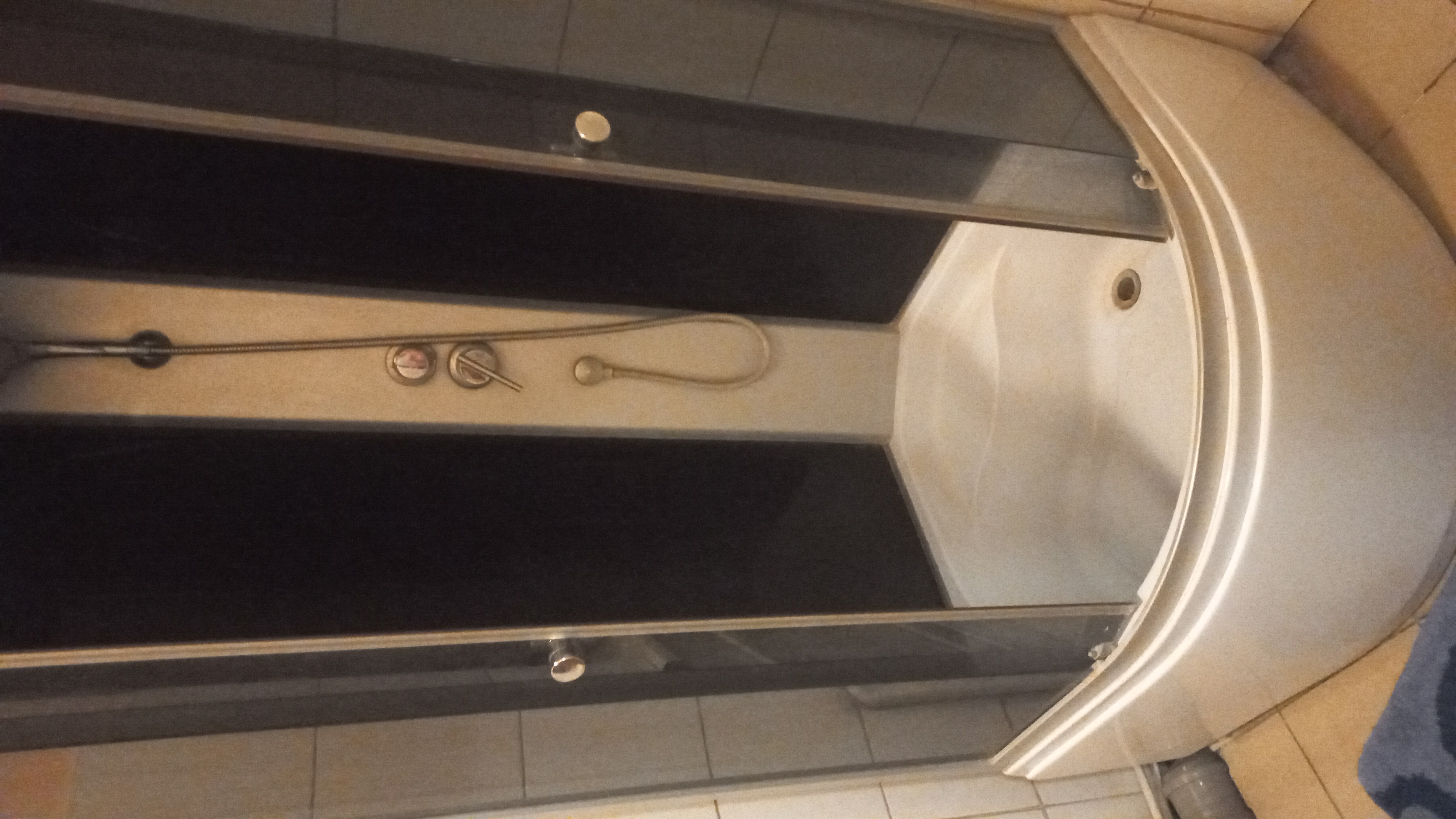 Фото Золотая подкова