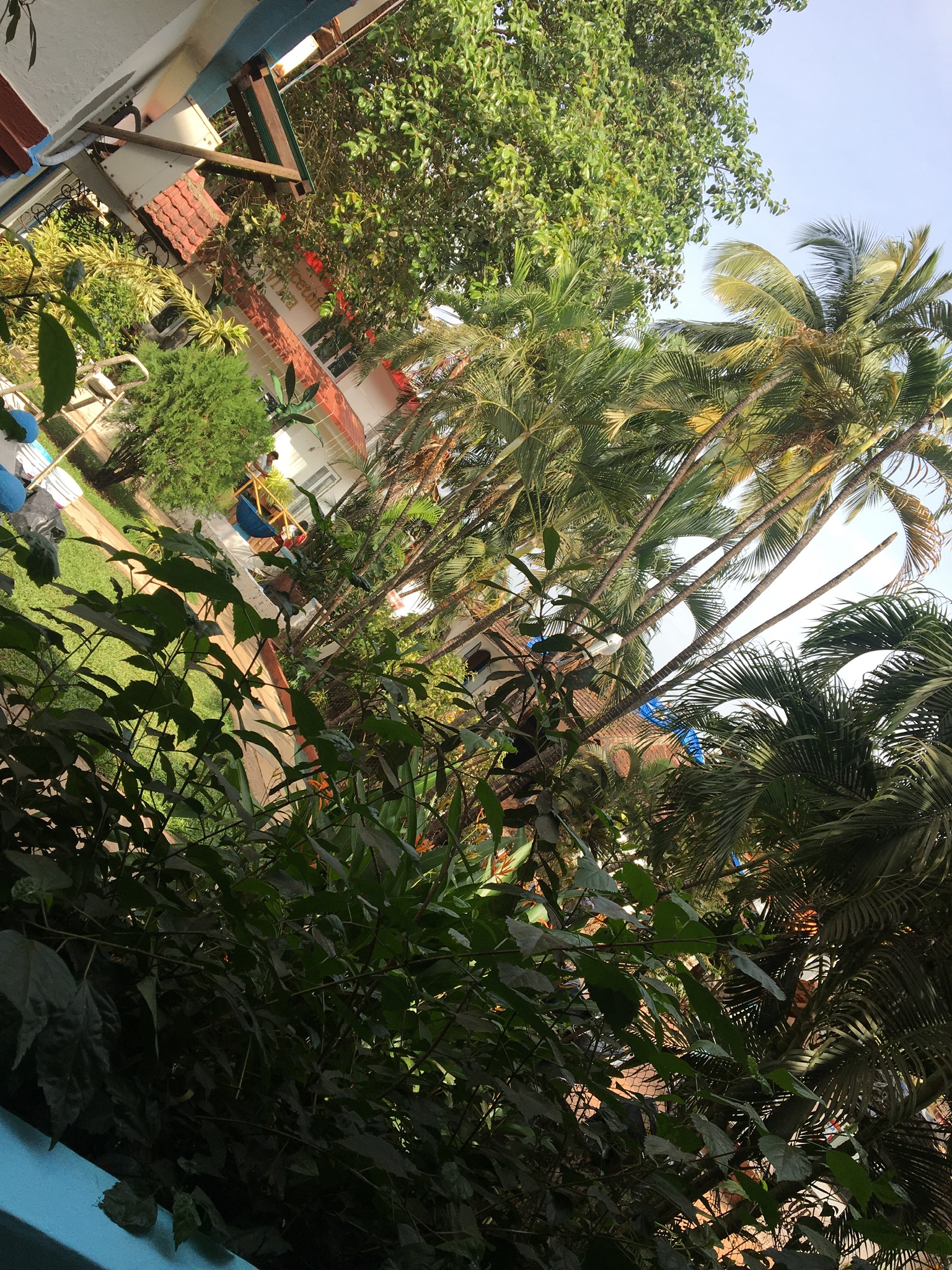 Фото Paradise Village Beach Resort