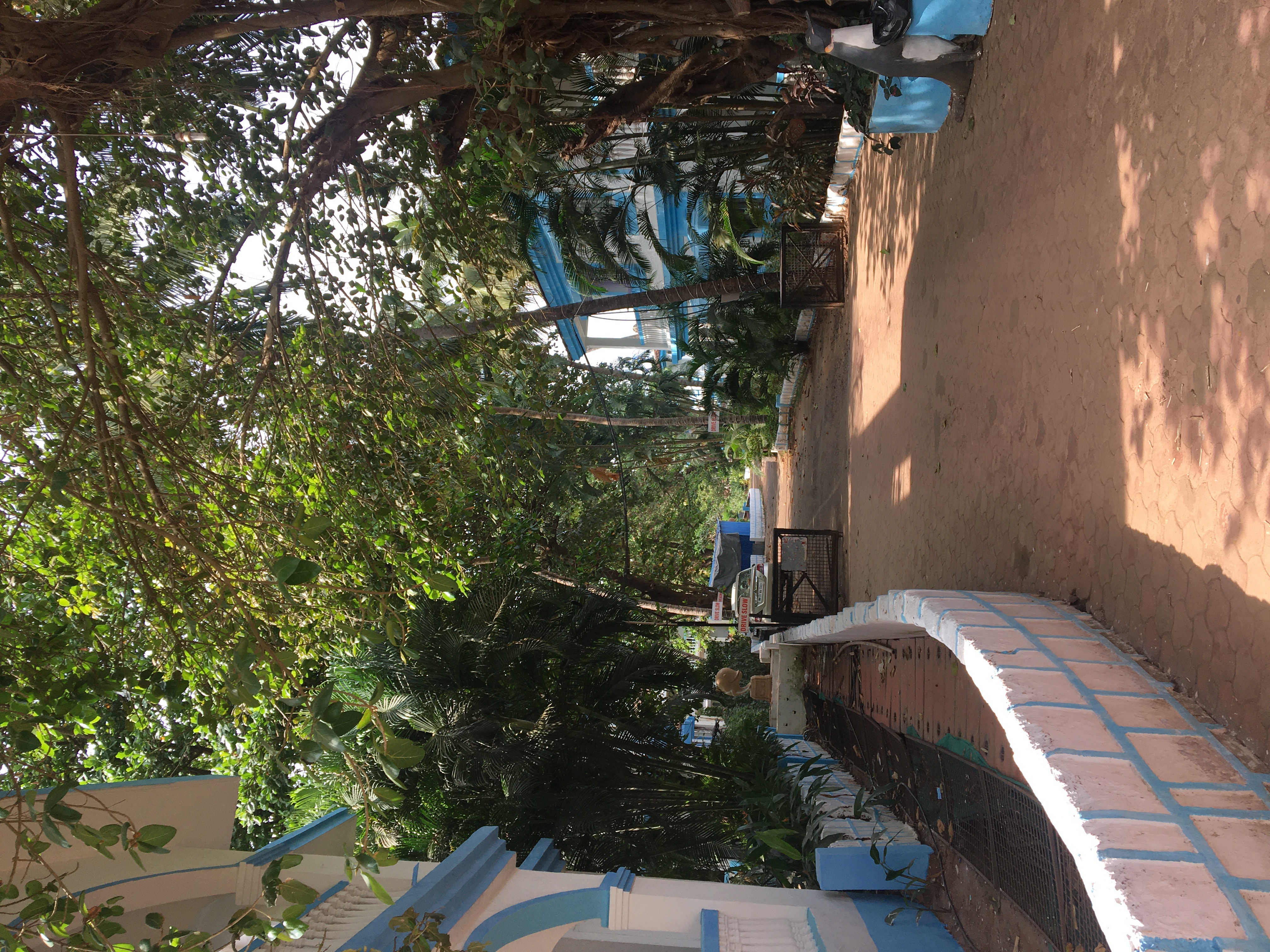 Фото Paradise Village Beach Resort
