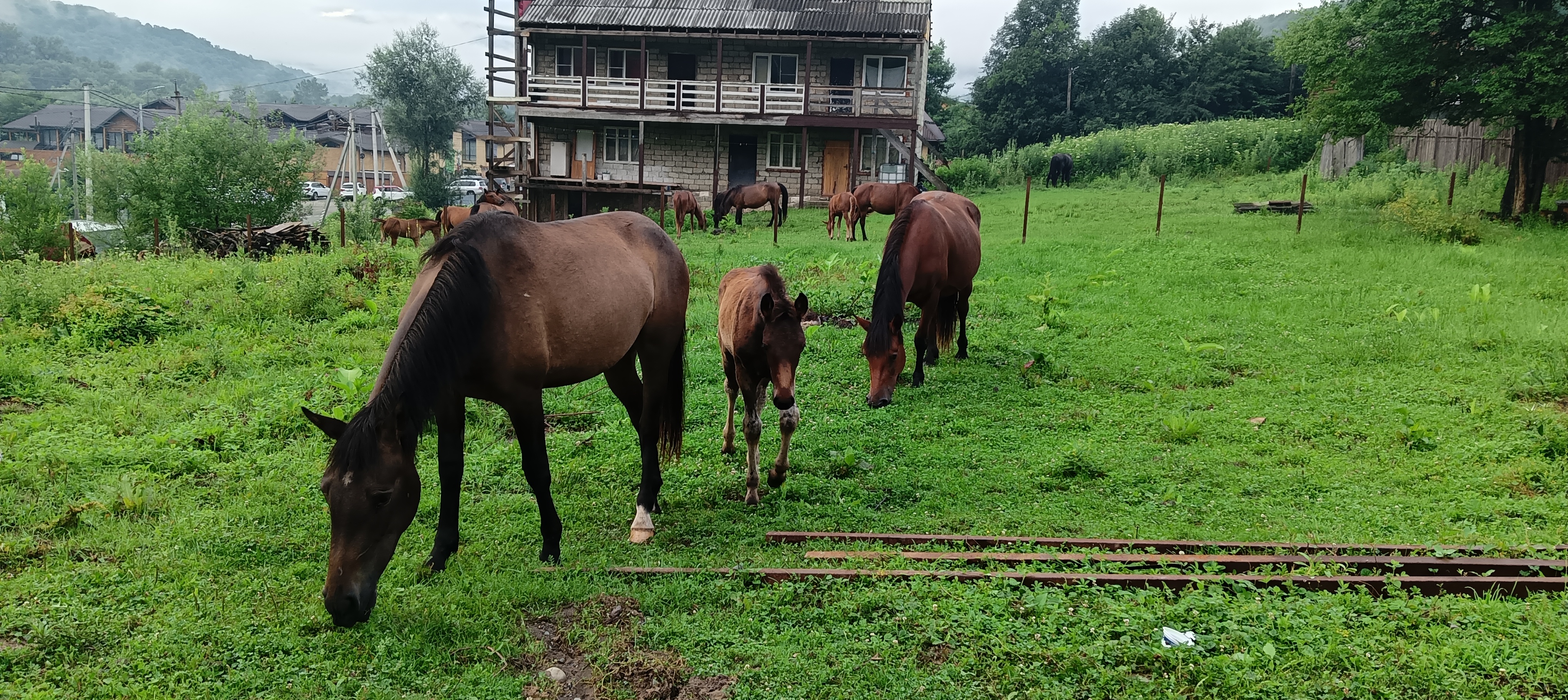 Фото Скала Монах
